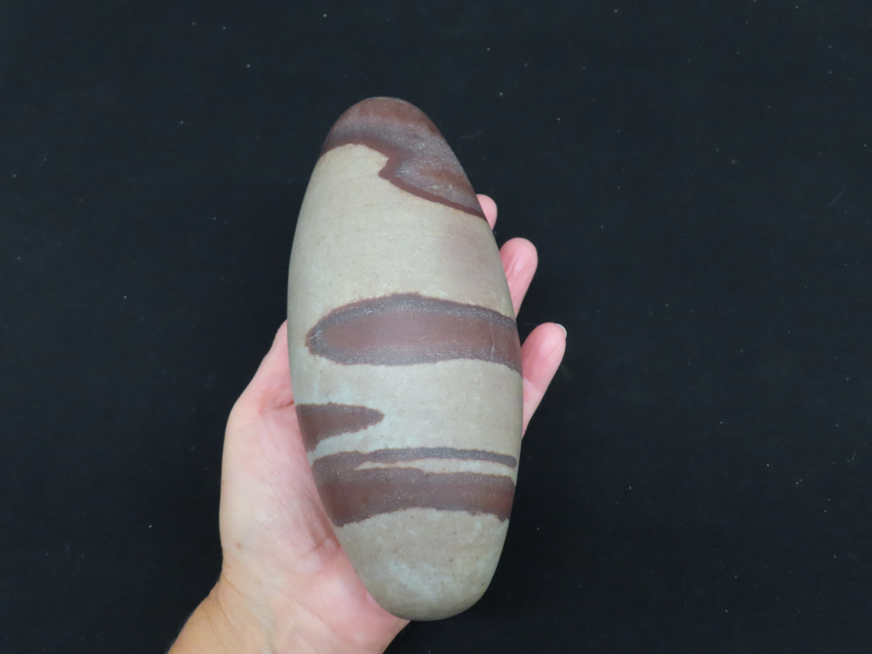 Huge Super Colorful 7" Long Shiva Lingam Stone, Narmada River, India. Oustanding Color!