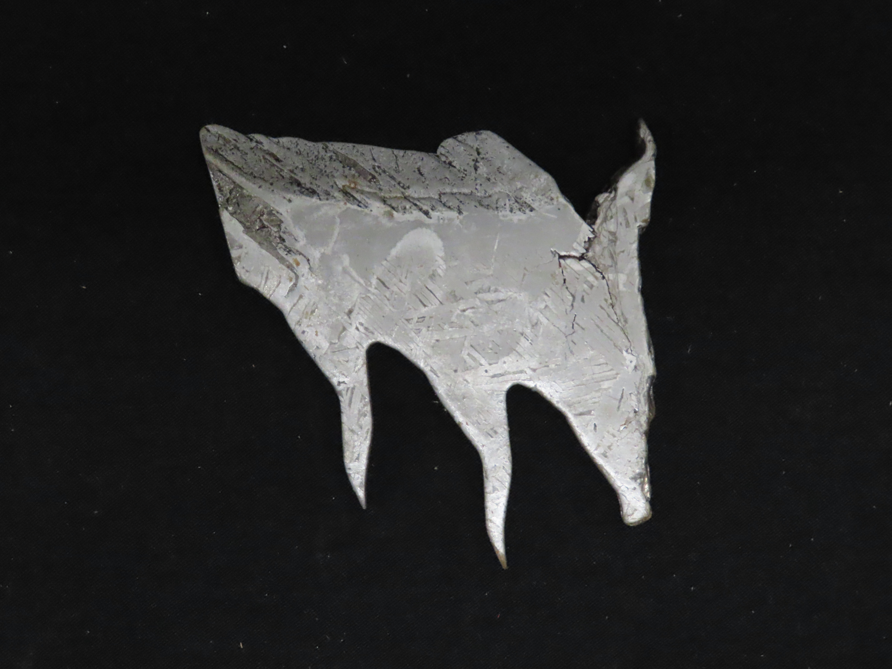 66g Meteorite Slab. 60 grams. Crazy Shape!