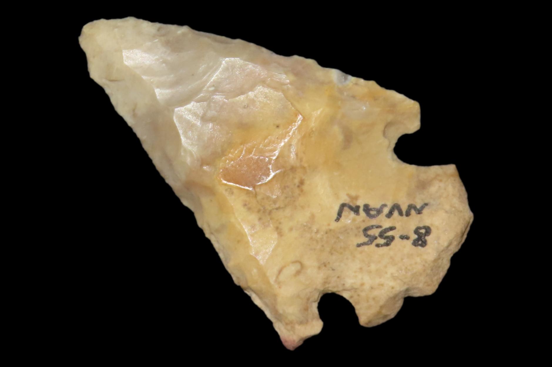 Nice Pinetree / Kirk Corner Notch found in Christian County Kentucky. Indian Arrowhead, Artifact.