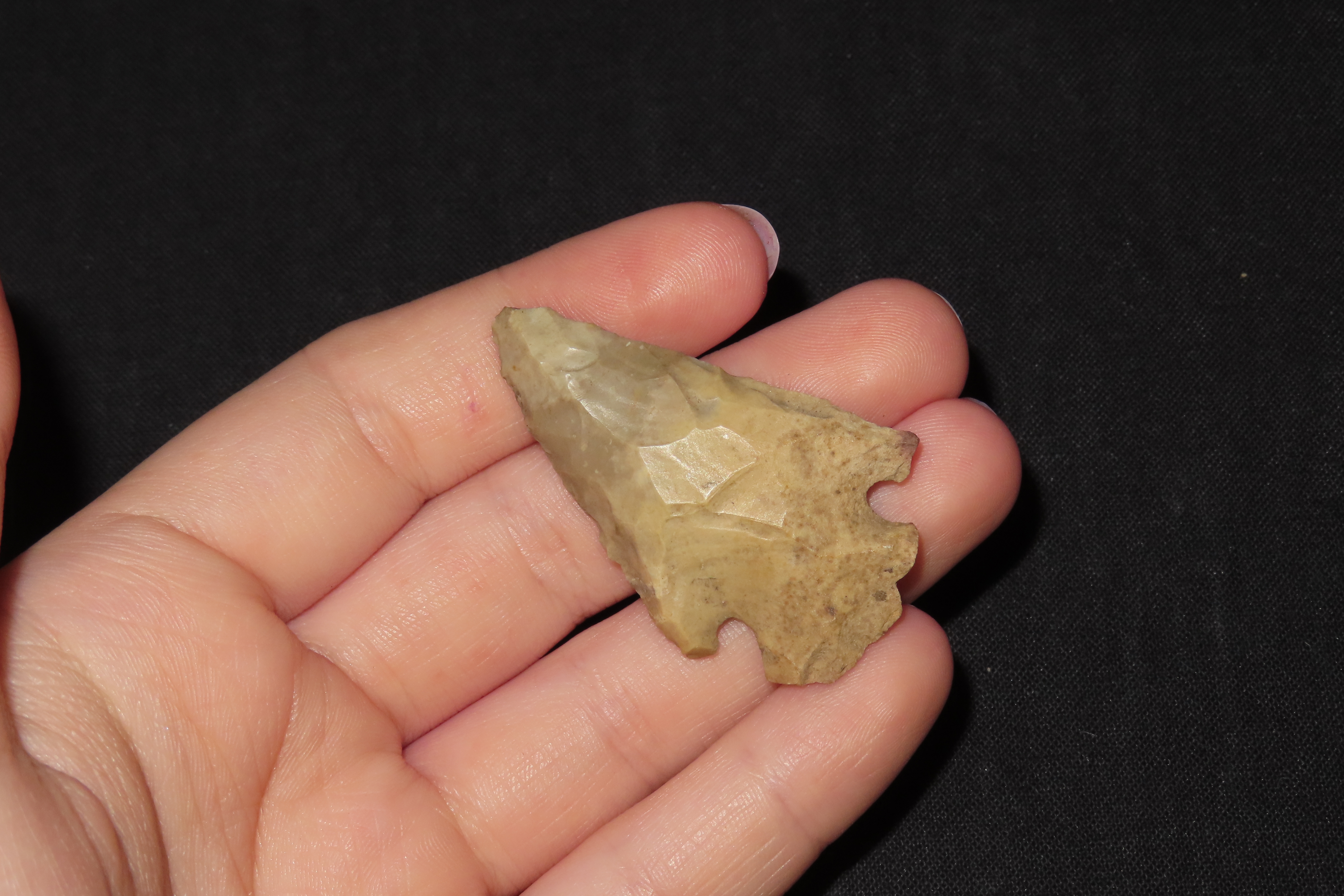 Nice Pinetree / Kirk Corner Notch found in Christian County Kentucky. Indian Arrowhead, Artifact.