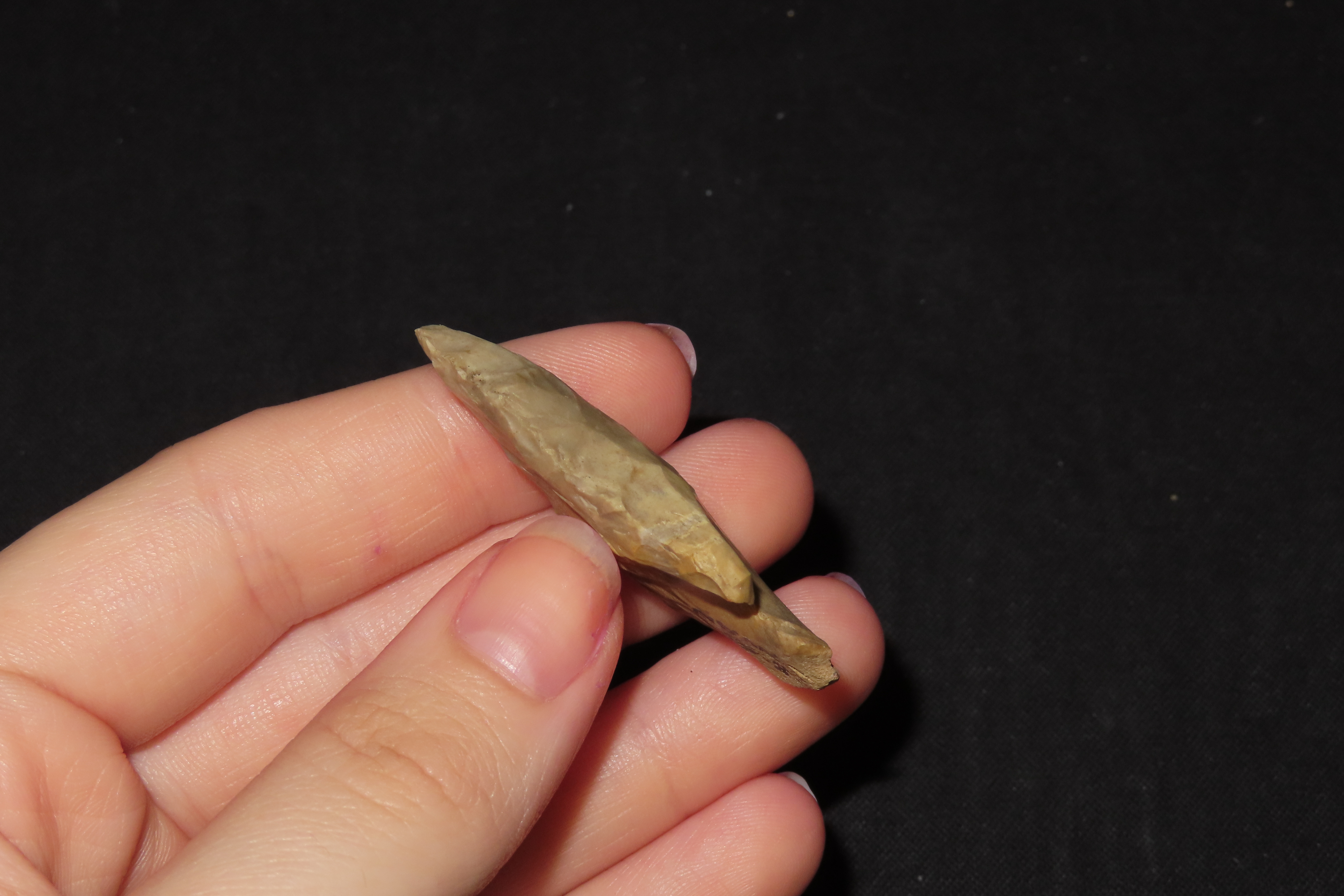 Nice Pinetree / Kirk Corner Notch found in Christian County Kentucky. Indian Arrowhead, Artifact.