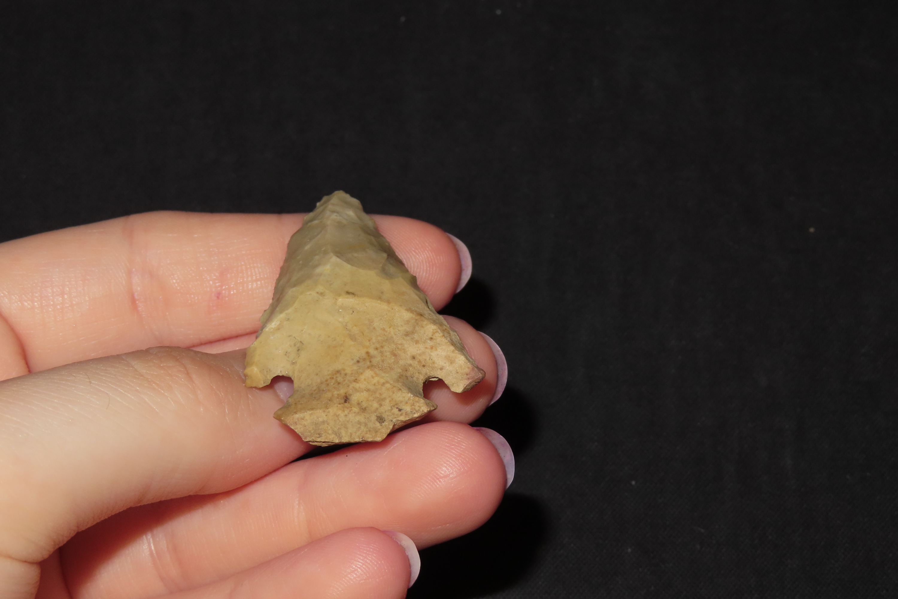 Nice Pinetree / Kirk Corner Notch found in Christian County Kentucky. Indian Arrowhead, Artifact.