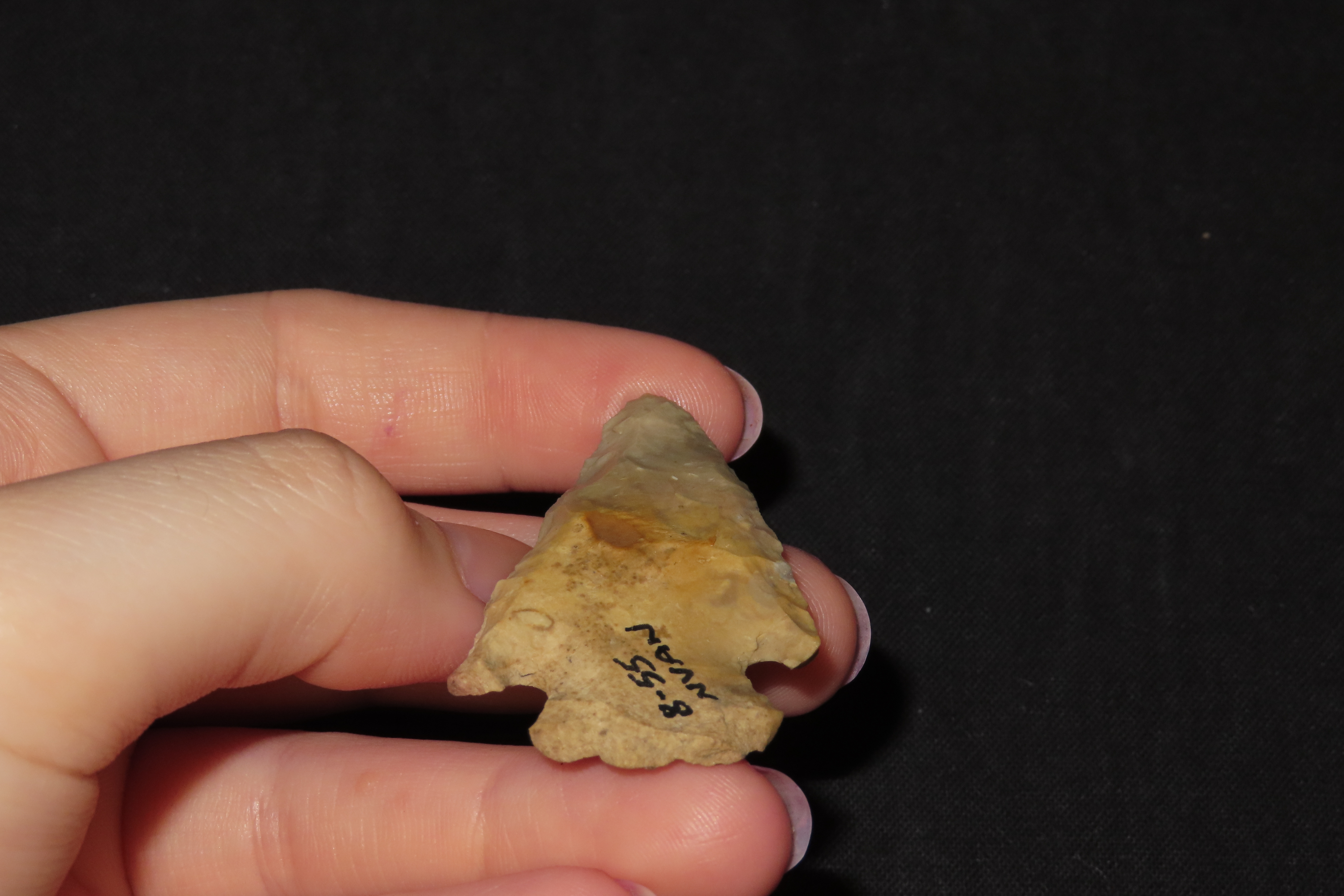 Nice Pinetree / Kirk Corner Notch found in Christian County Kentucky. Indian Arrowhead, Artifact.