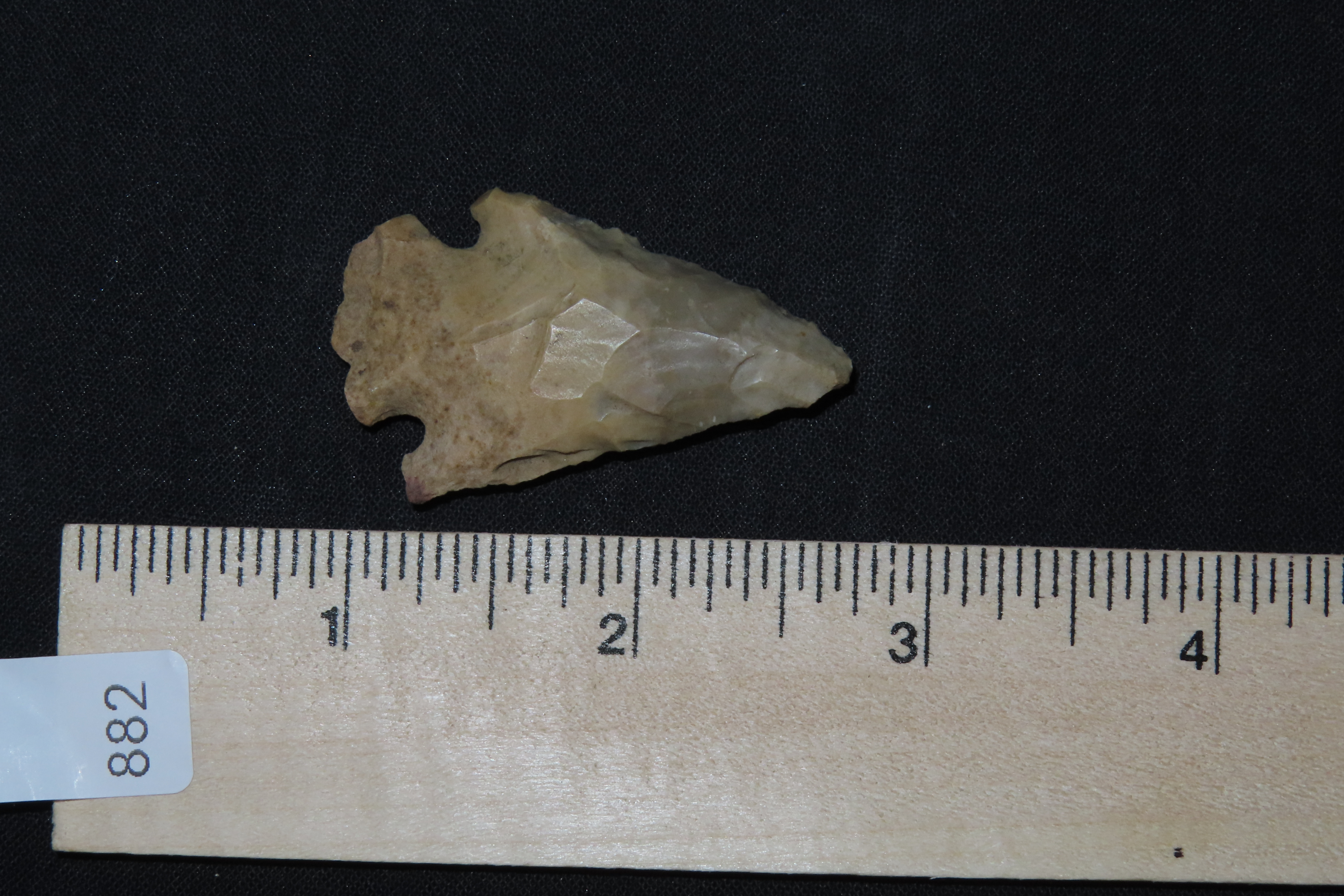 Nice Pinetree / Kirk Corner Notch found in Christian County Kentucky. Indian Arrowhead, Artifact.
