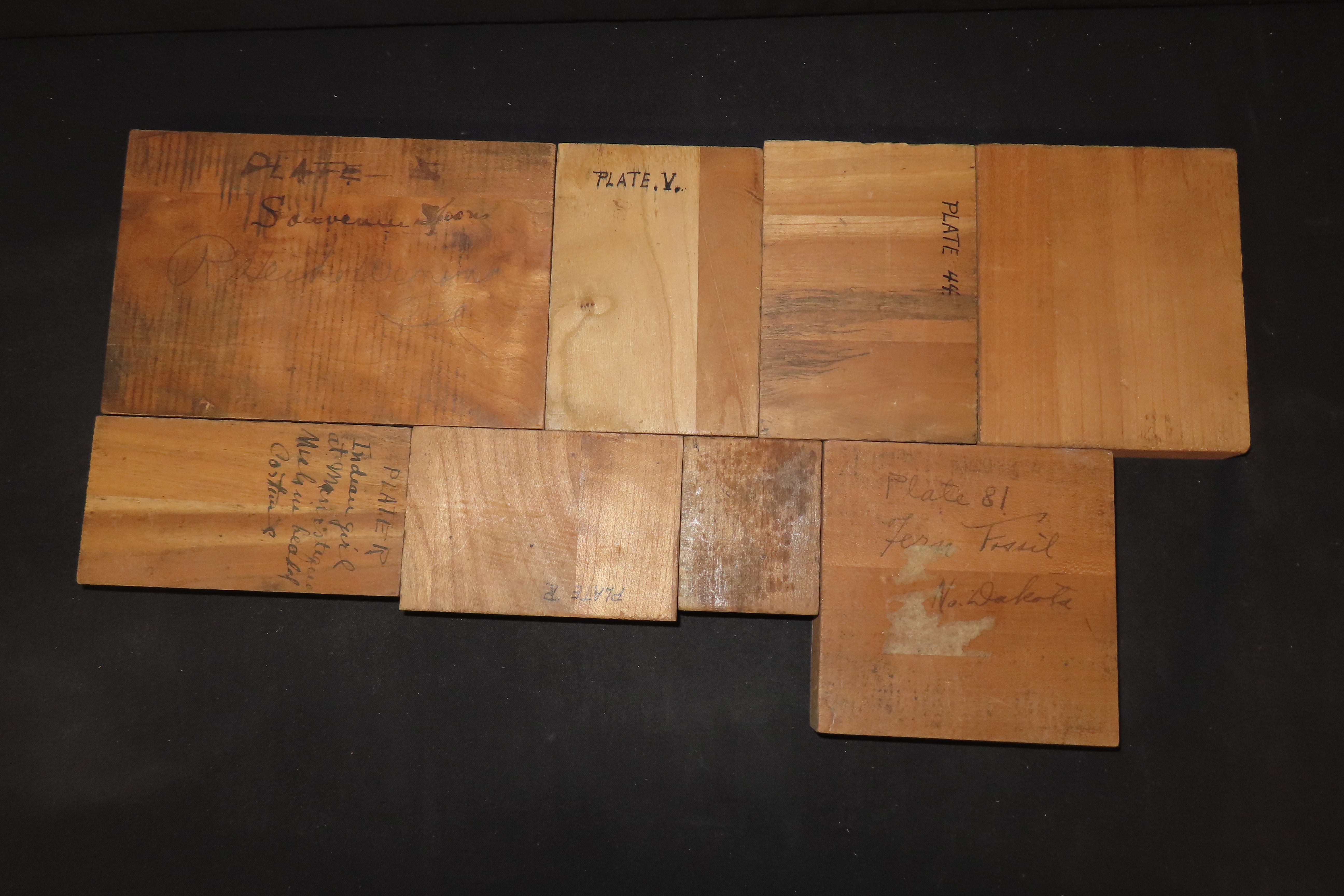 Lot of 8 Old Vintage Printing Plates from Rev, Heikes books.