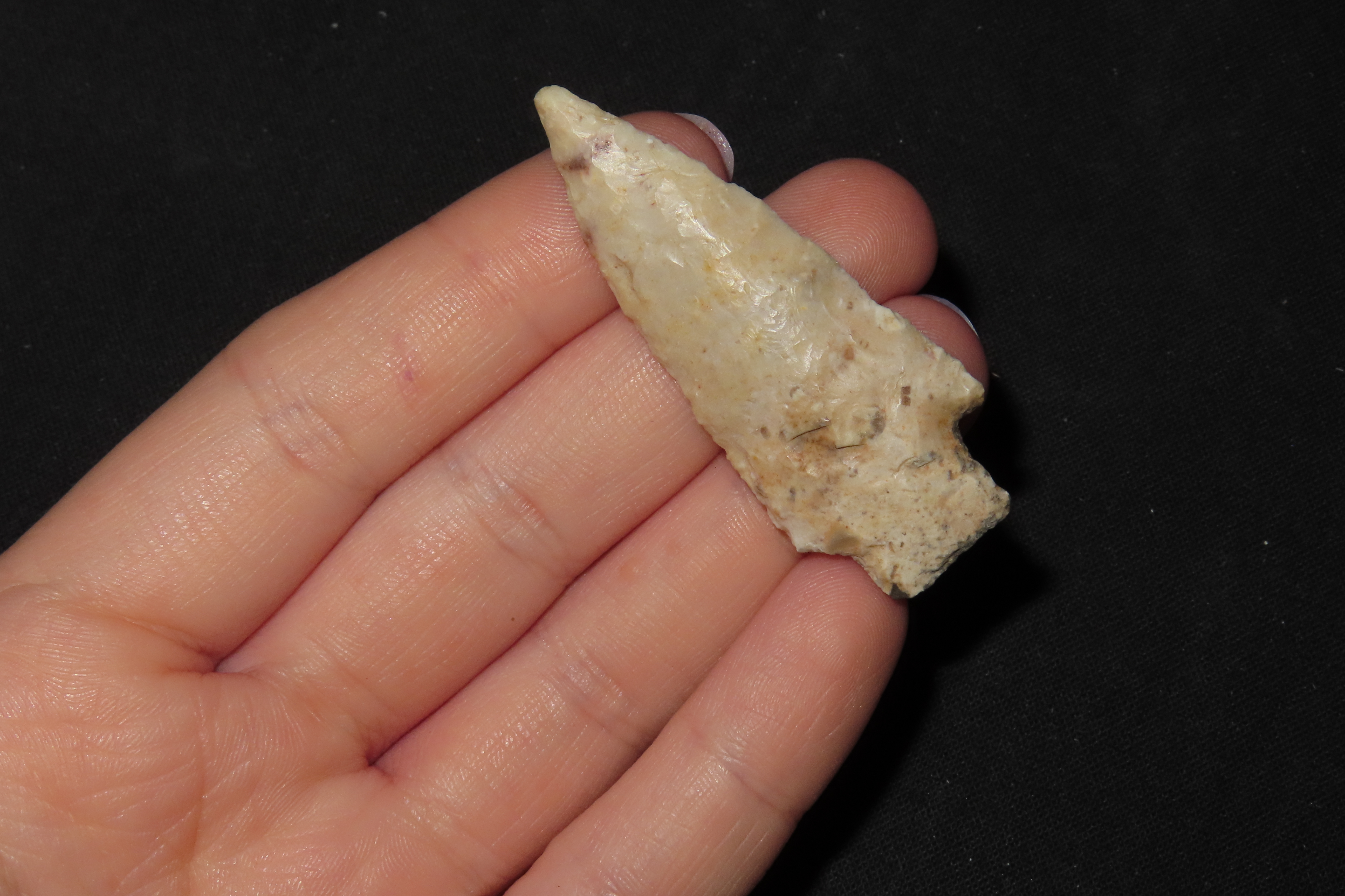 Well Flaked Florida Kirk found in Hernando County FL. Indian Arrowhead, Artifact.