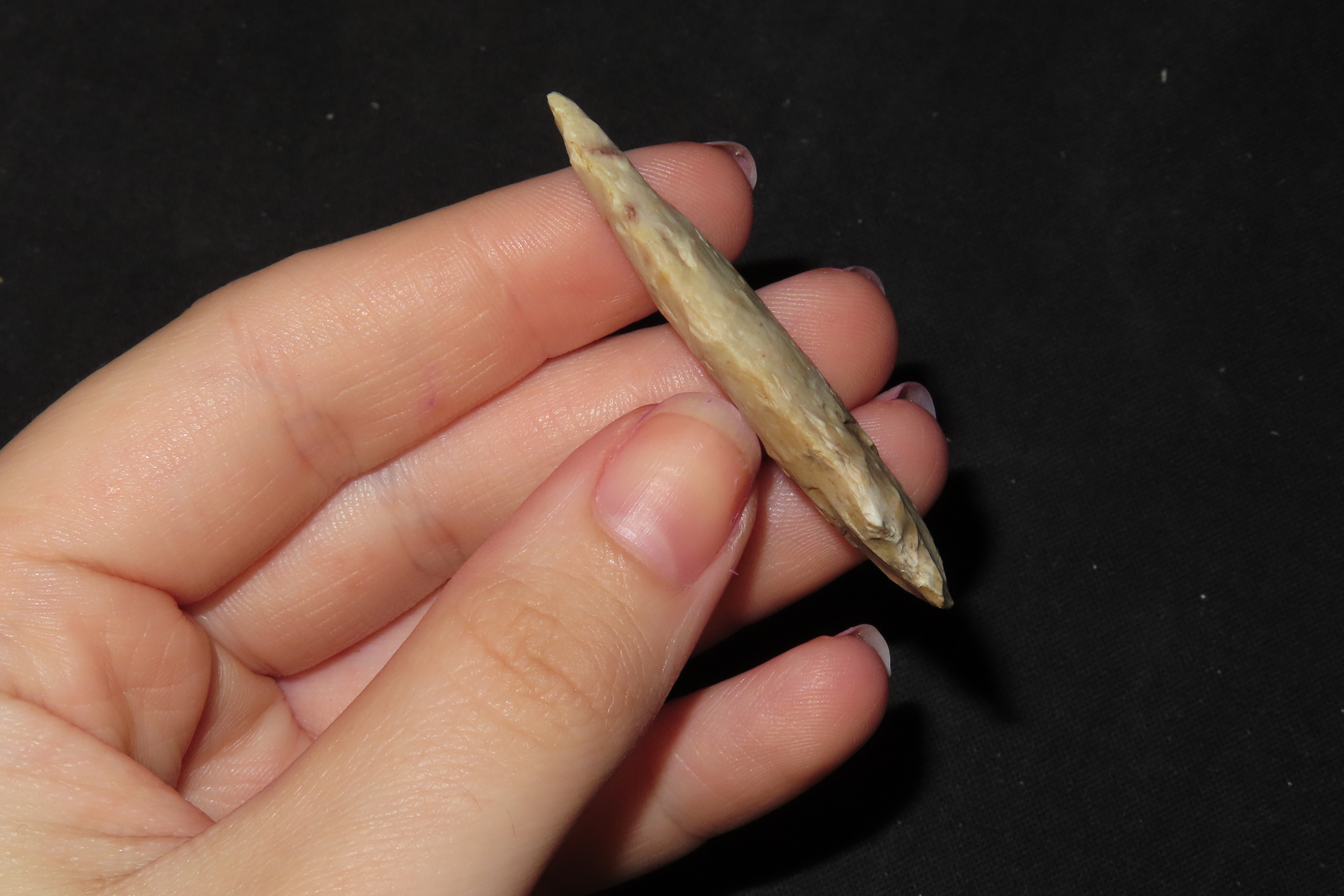 Well Flaked Florida Kirk found in Hernando County FL. Indian Arrowhead, Artifact.