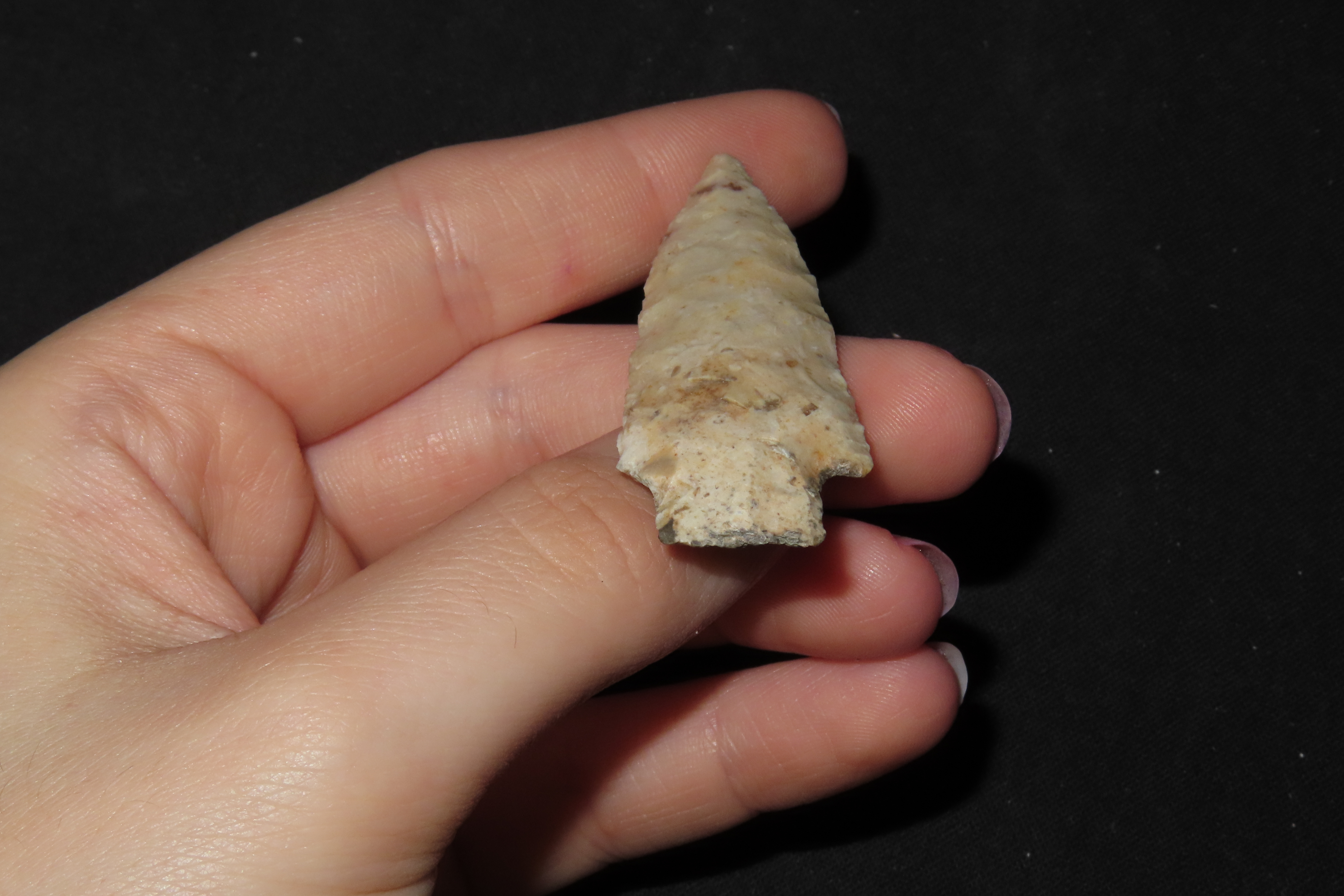 Well Flaked Florida Kirk found in Hernando County FL. Indian Arrowhead, Artifact.