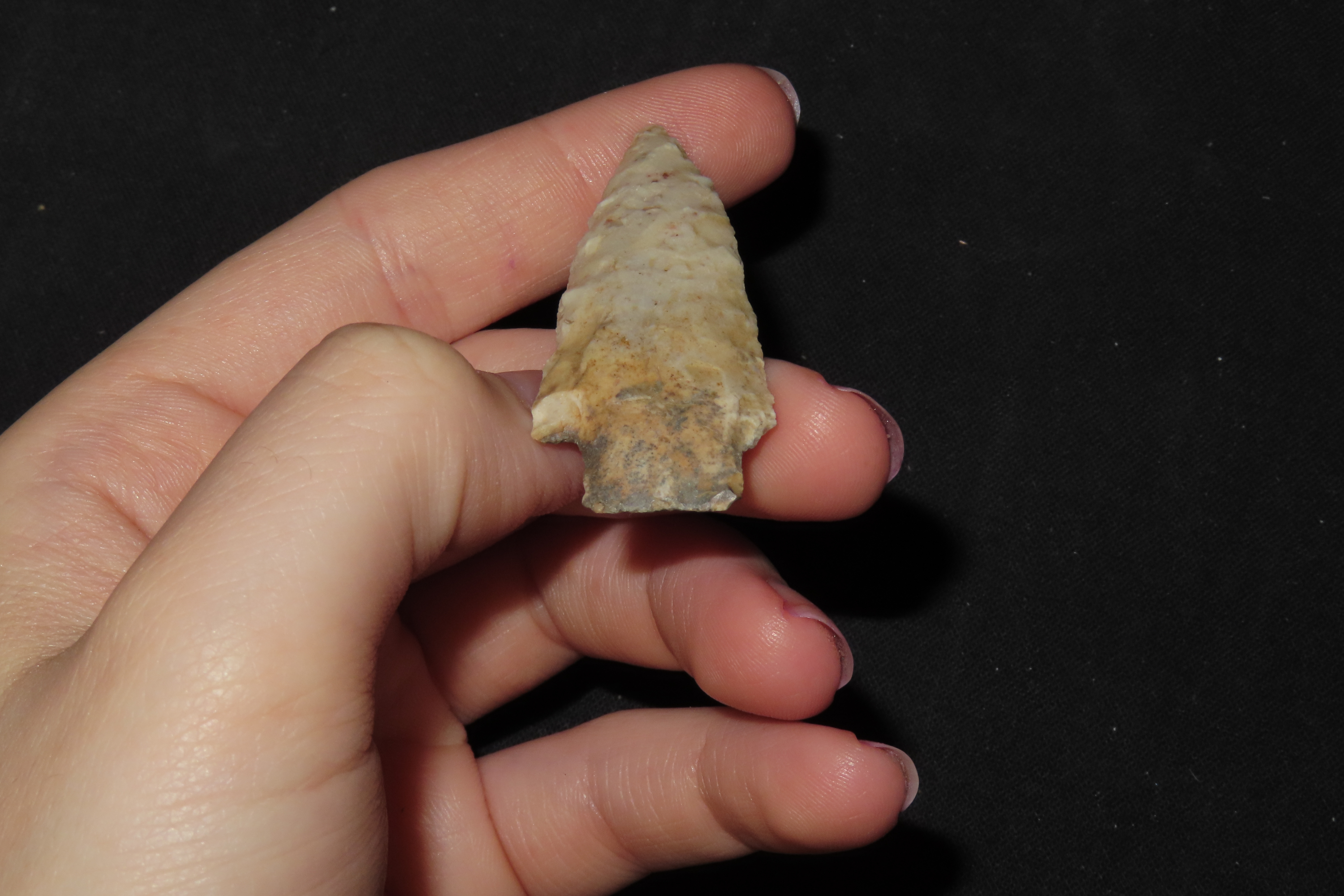 Well Flaked Florida Kirk found in Hernando County FL. Indian Arrowhead, Artifact.