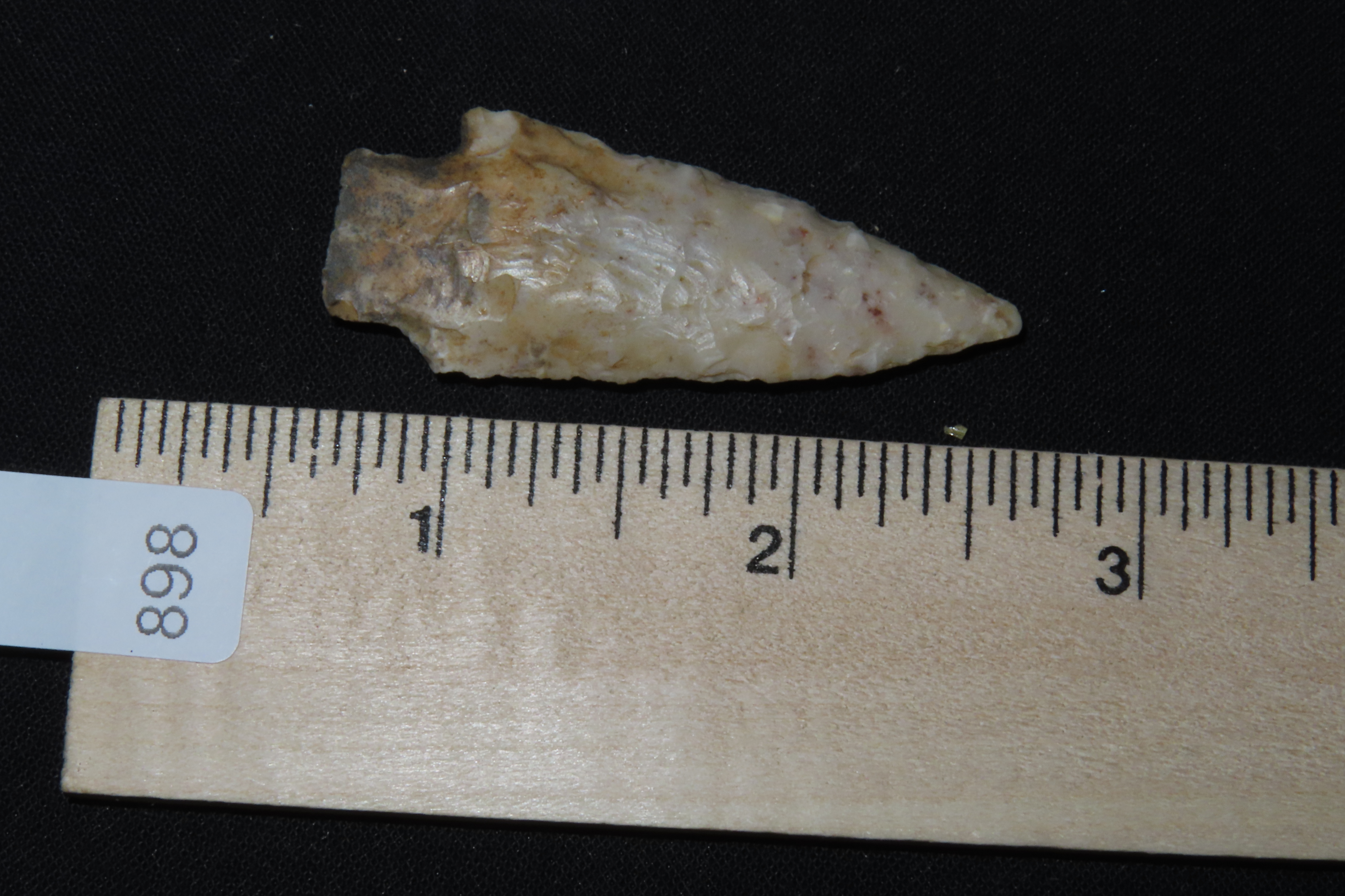 Well Flaked Florida Kirk found in Hernando County FL. Indian Arrowhead, Artifact.