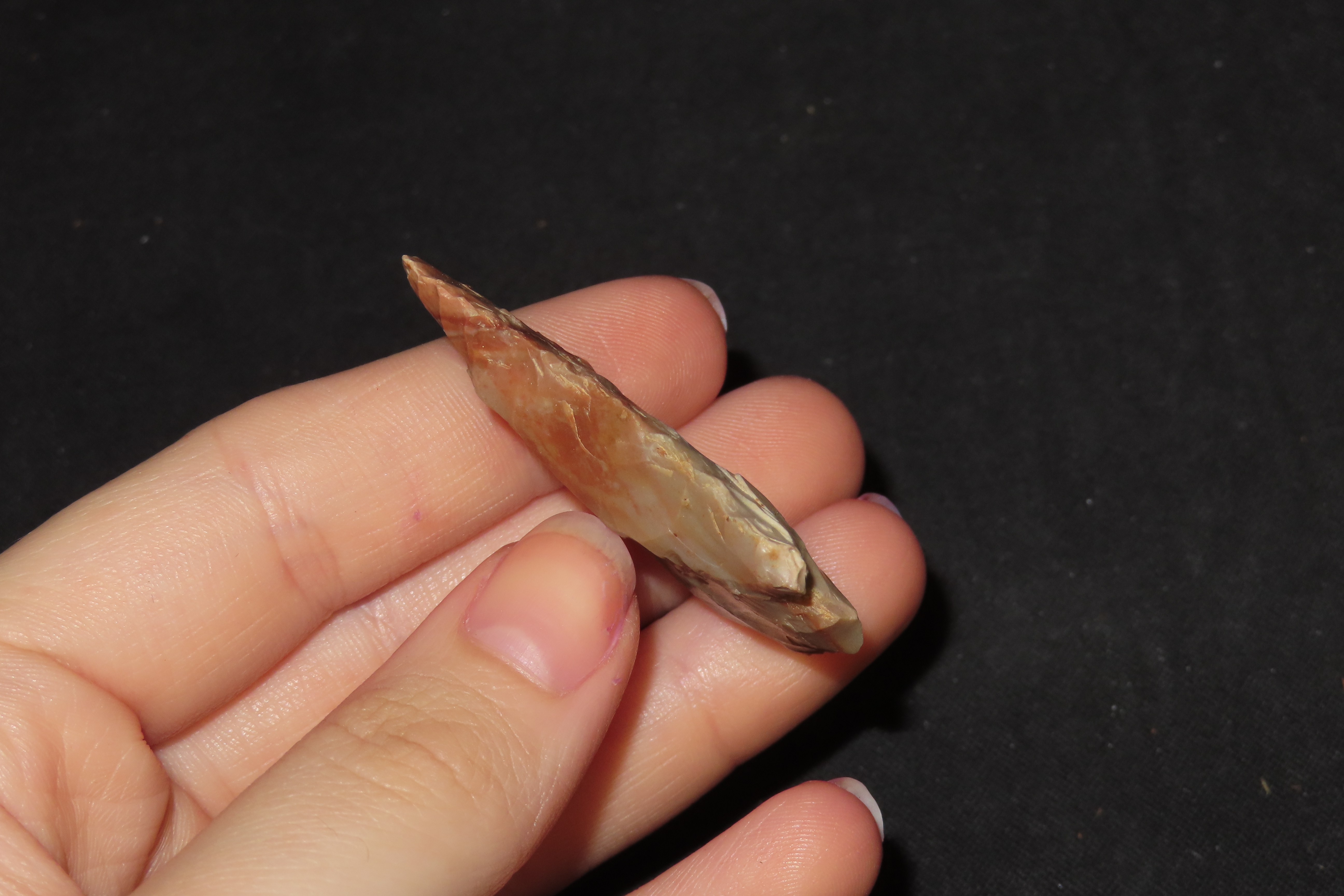 Colorful Florida Arrowhead, Alachua / Kirk Stemmed. Great Color!