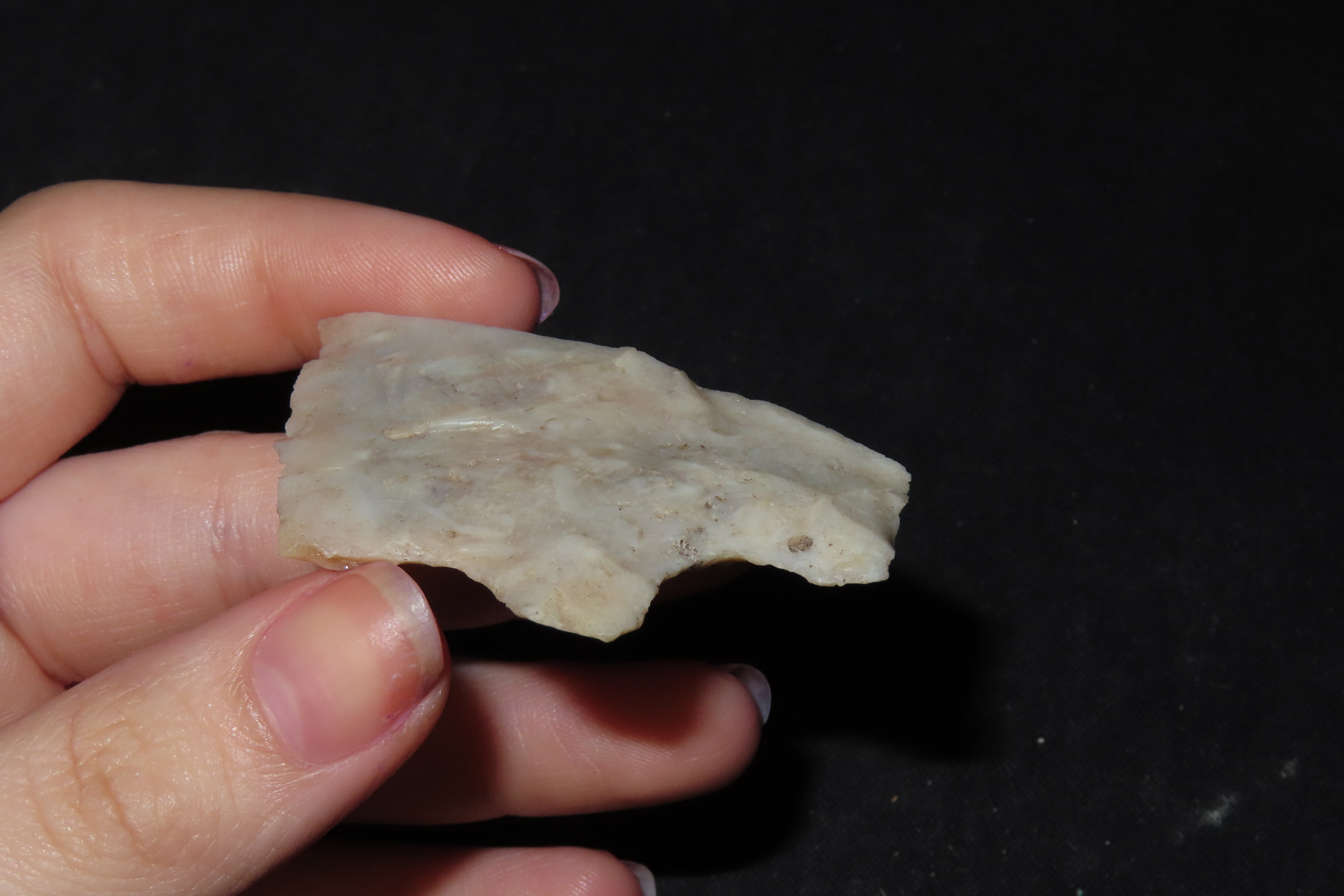 Big Heartbreaker Florida Hillsborough / Newnan. Colorful Translucent Coral