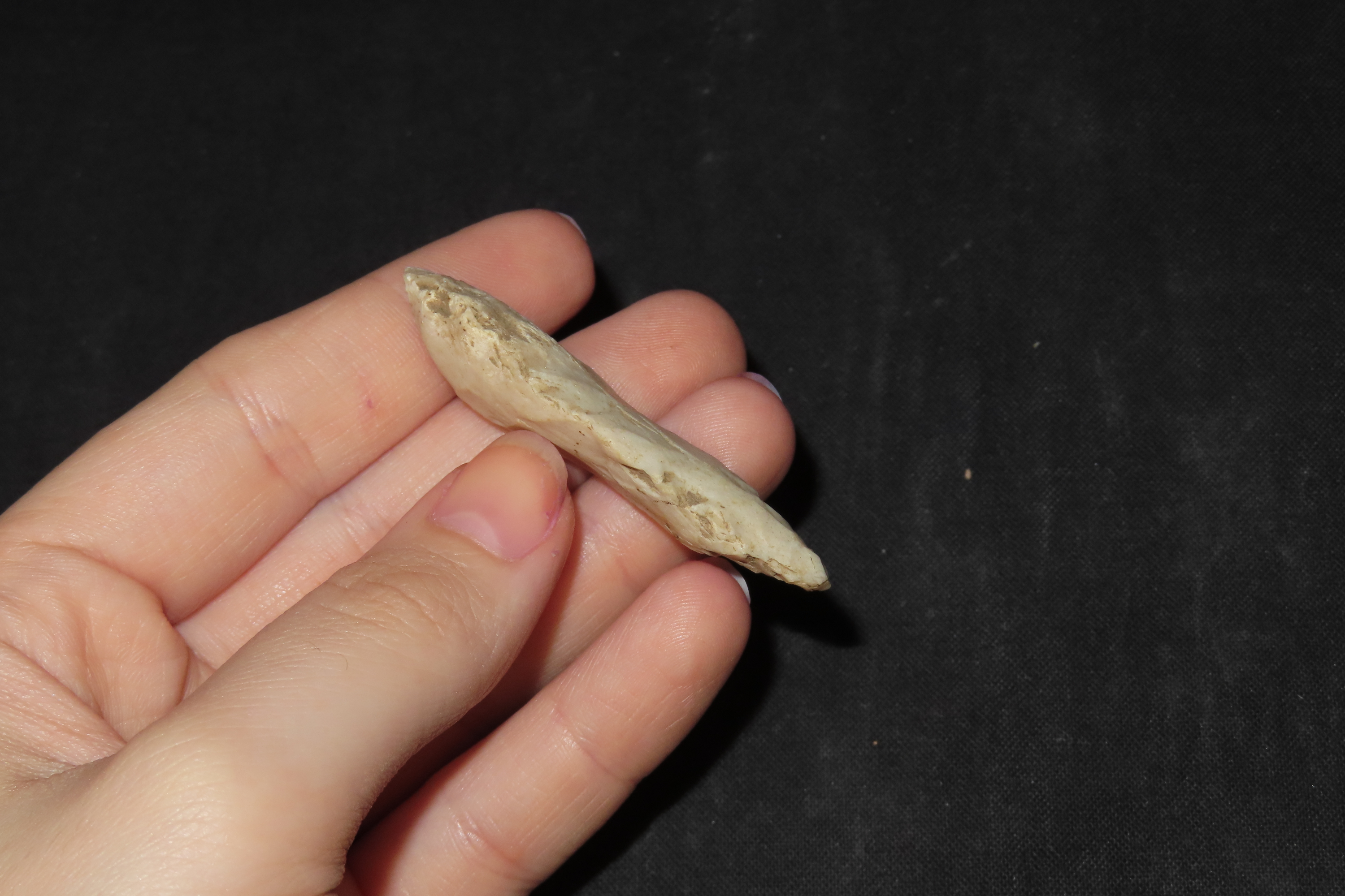 Nice 2 1/8" Nodena Bipoint Mississippian Blade found in Northern Arkansas. Indian Arrowhead, Artifact.