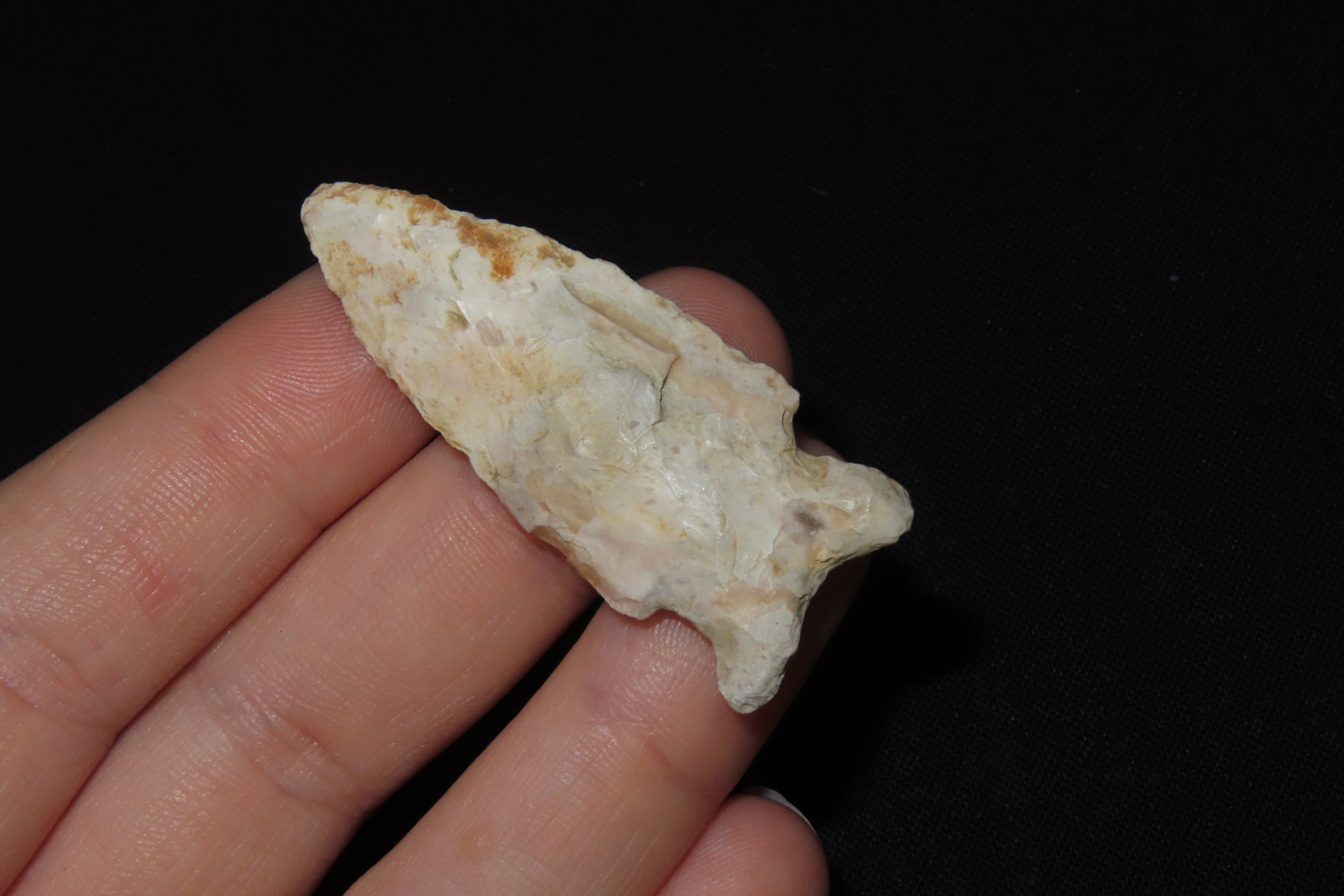 1 3/4" Matanzas Point, Found in Iowa