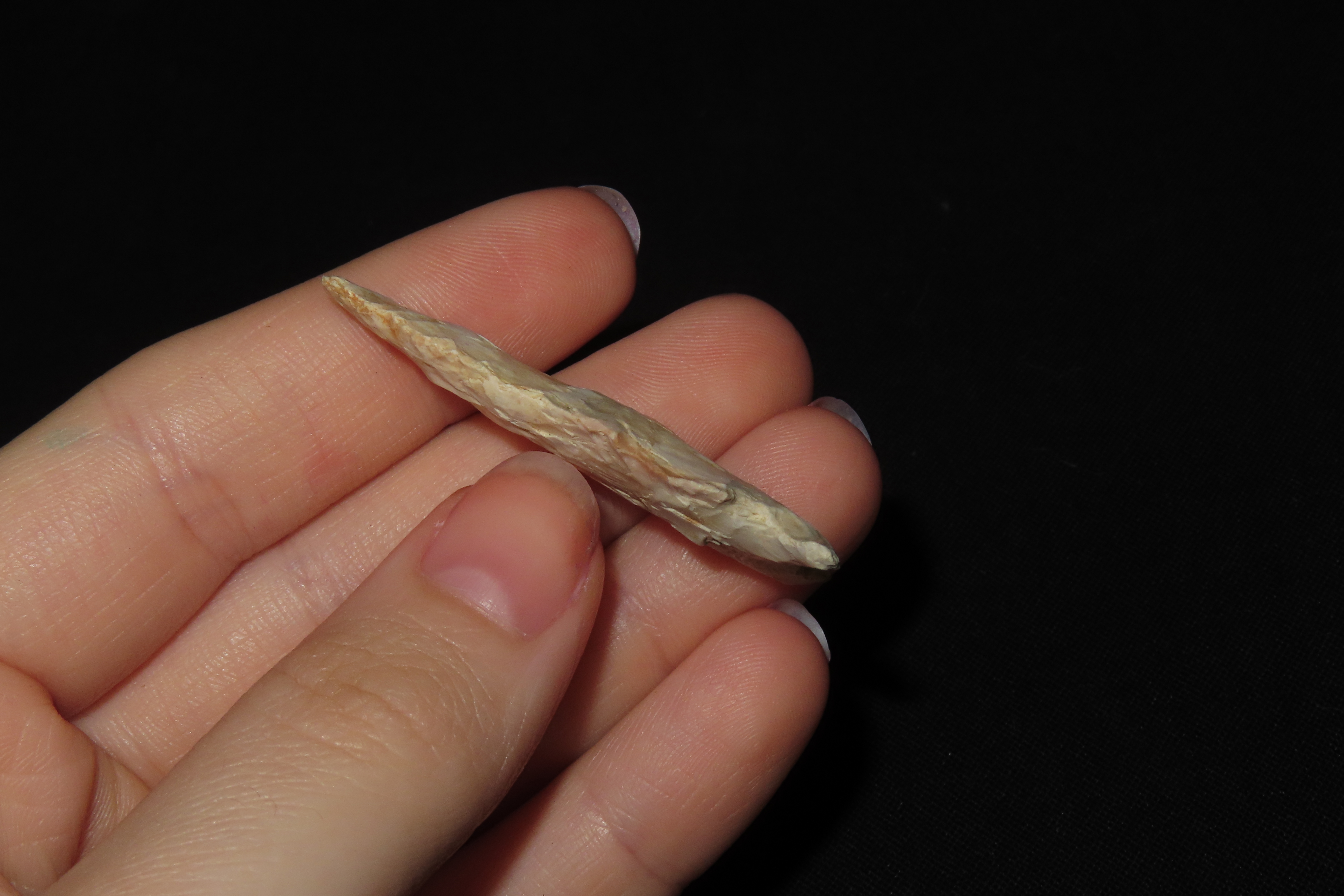 1 3/4" Matanzas Point, Found in Iowa