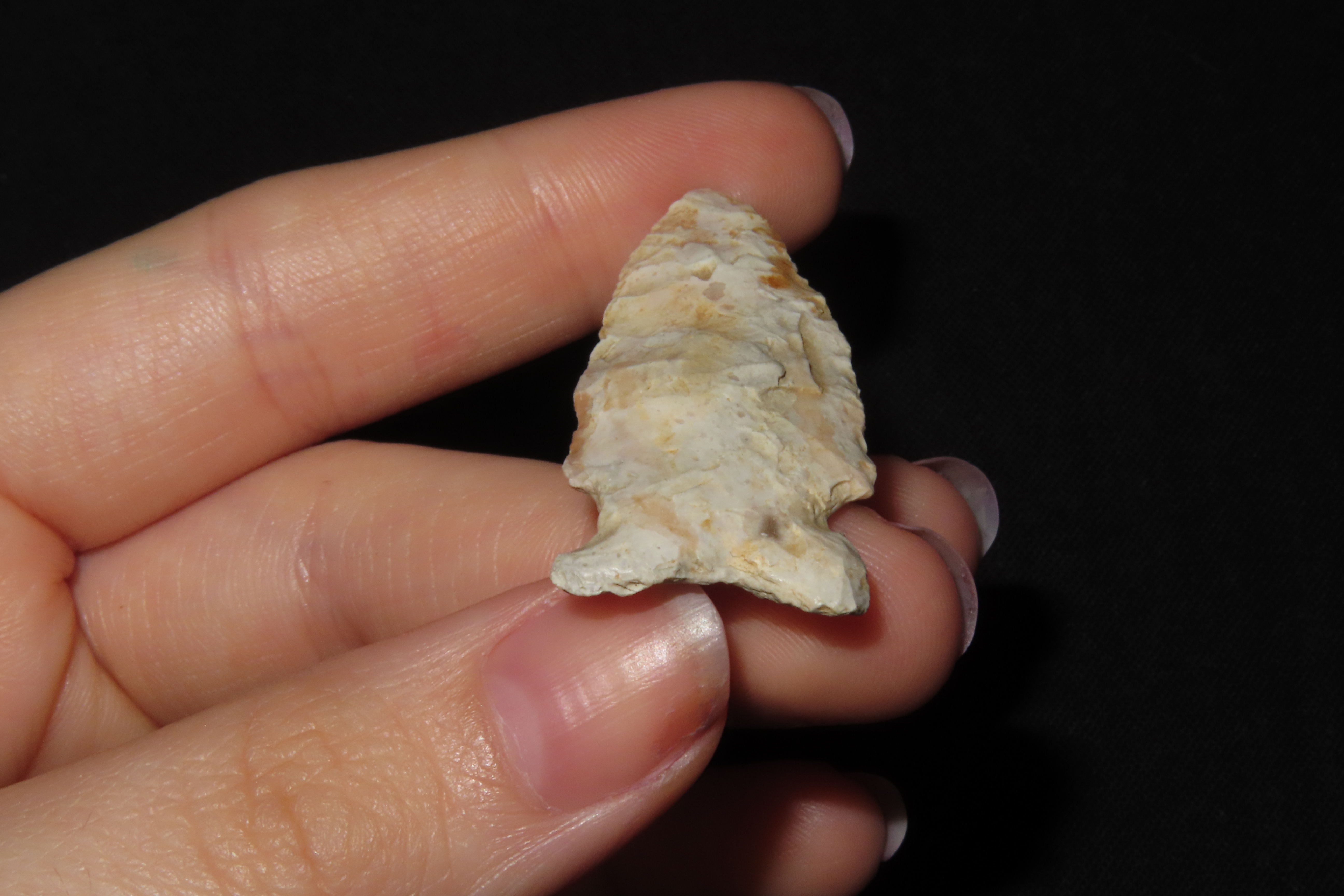 1 3/4" Matanzas Point, Found in Iowa