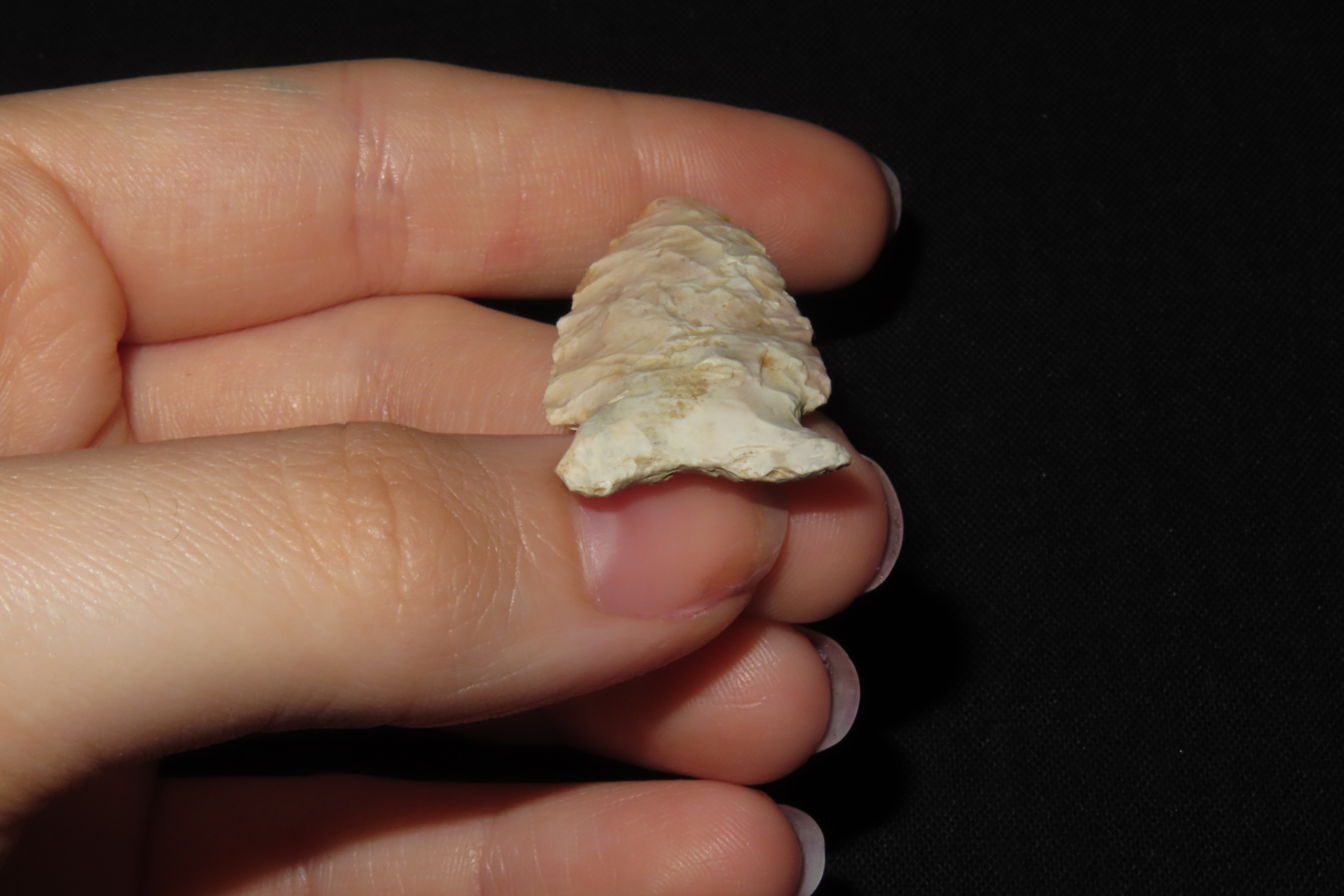 1 3/4" Matanzas Point, Found in Iowa