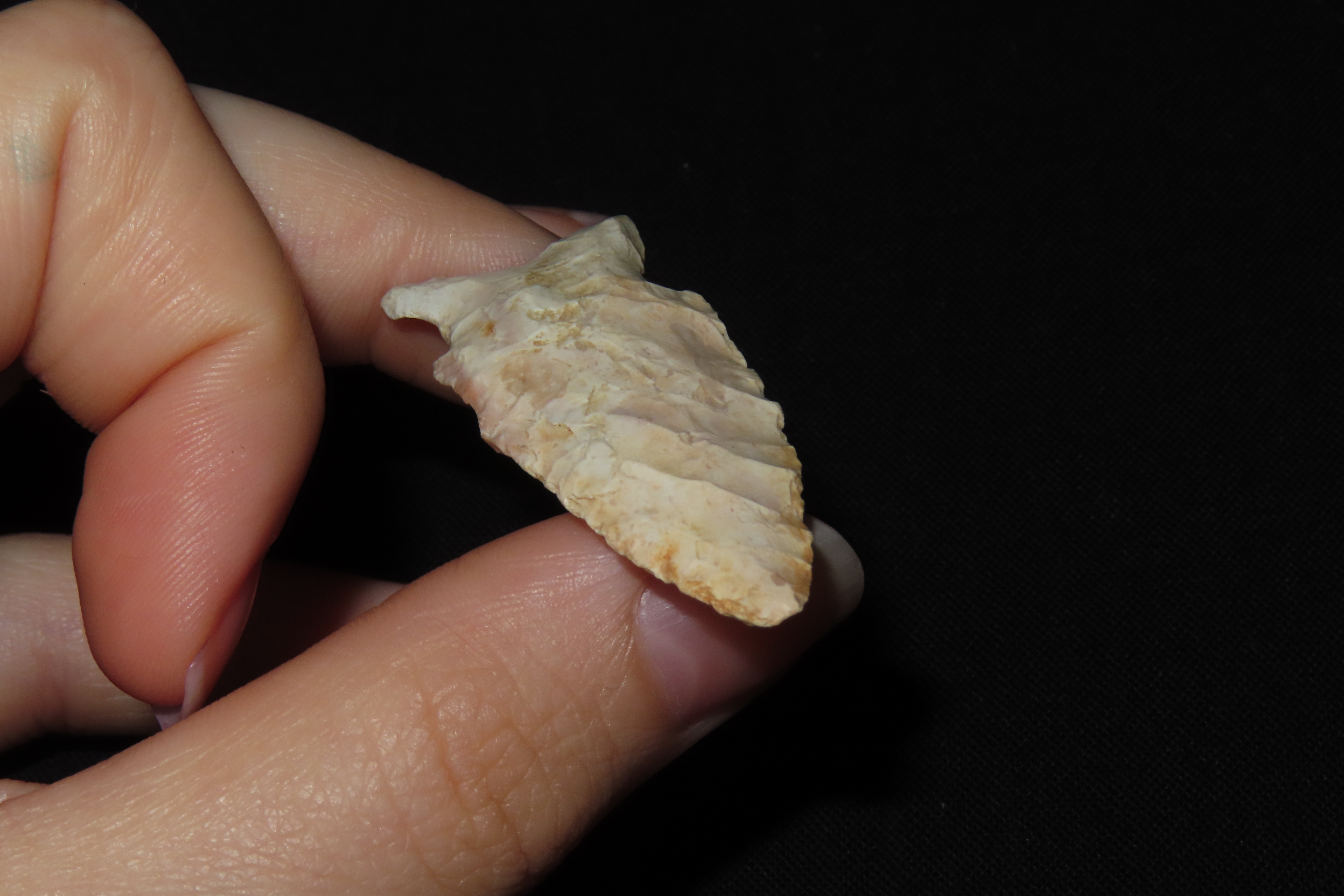 1 3/4" Matanzas Point, Found in Iowa