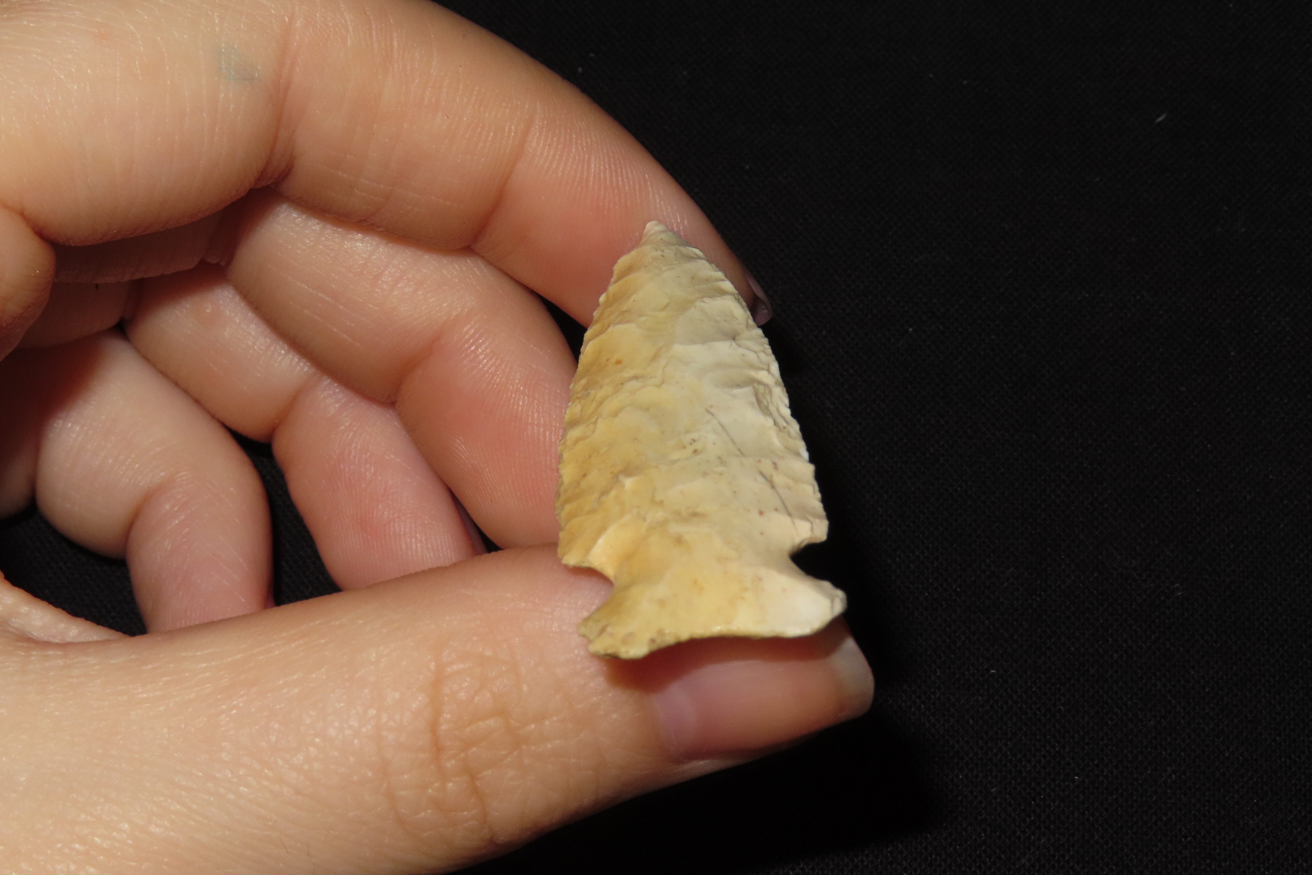 2" Matanzas Point, Hancock Co., Illinois