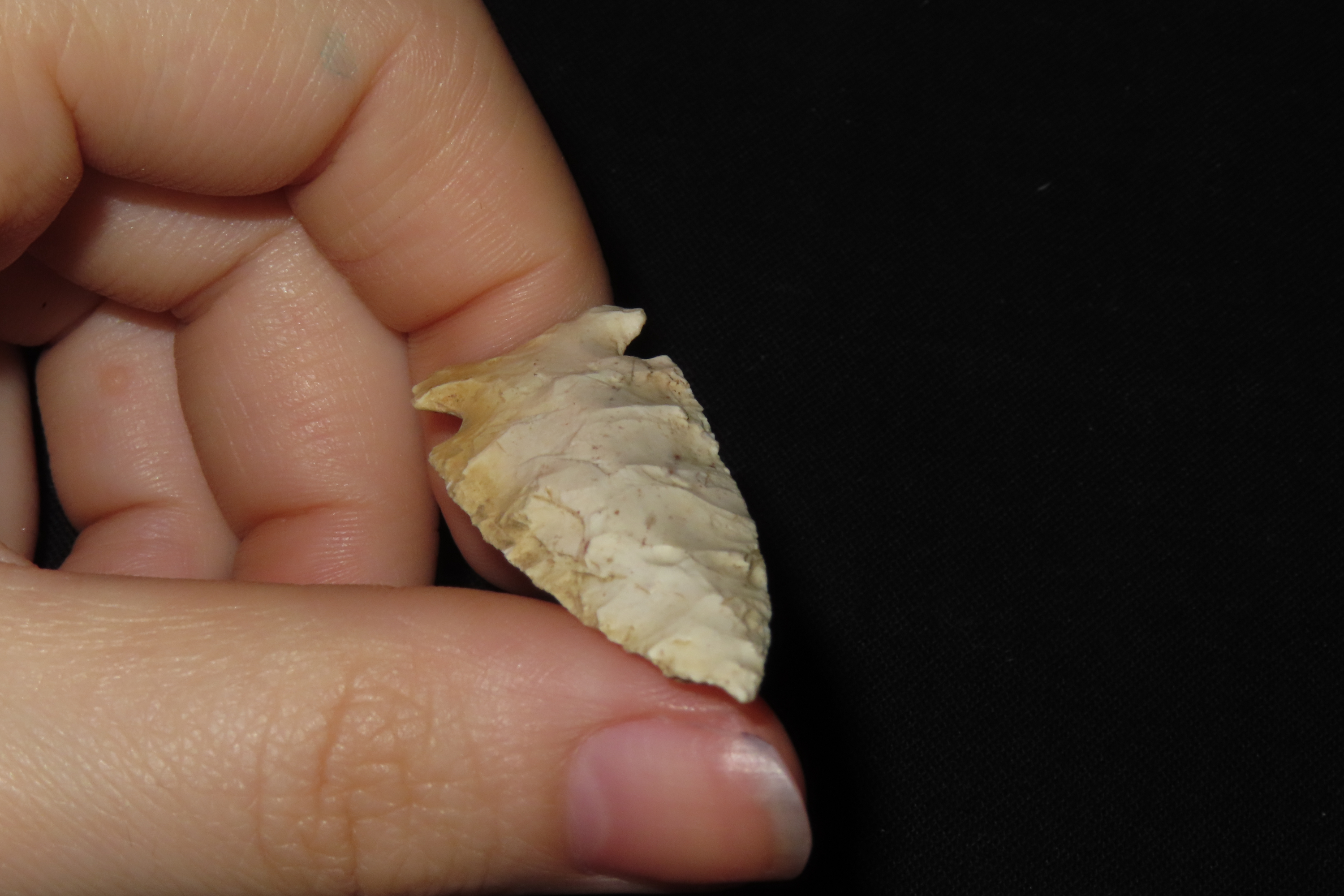 2" Matanzas Point, Hancock Co., Illinois