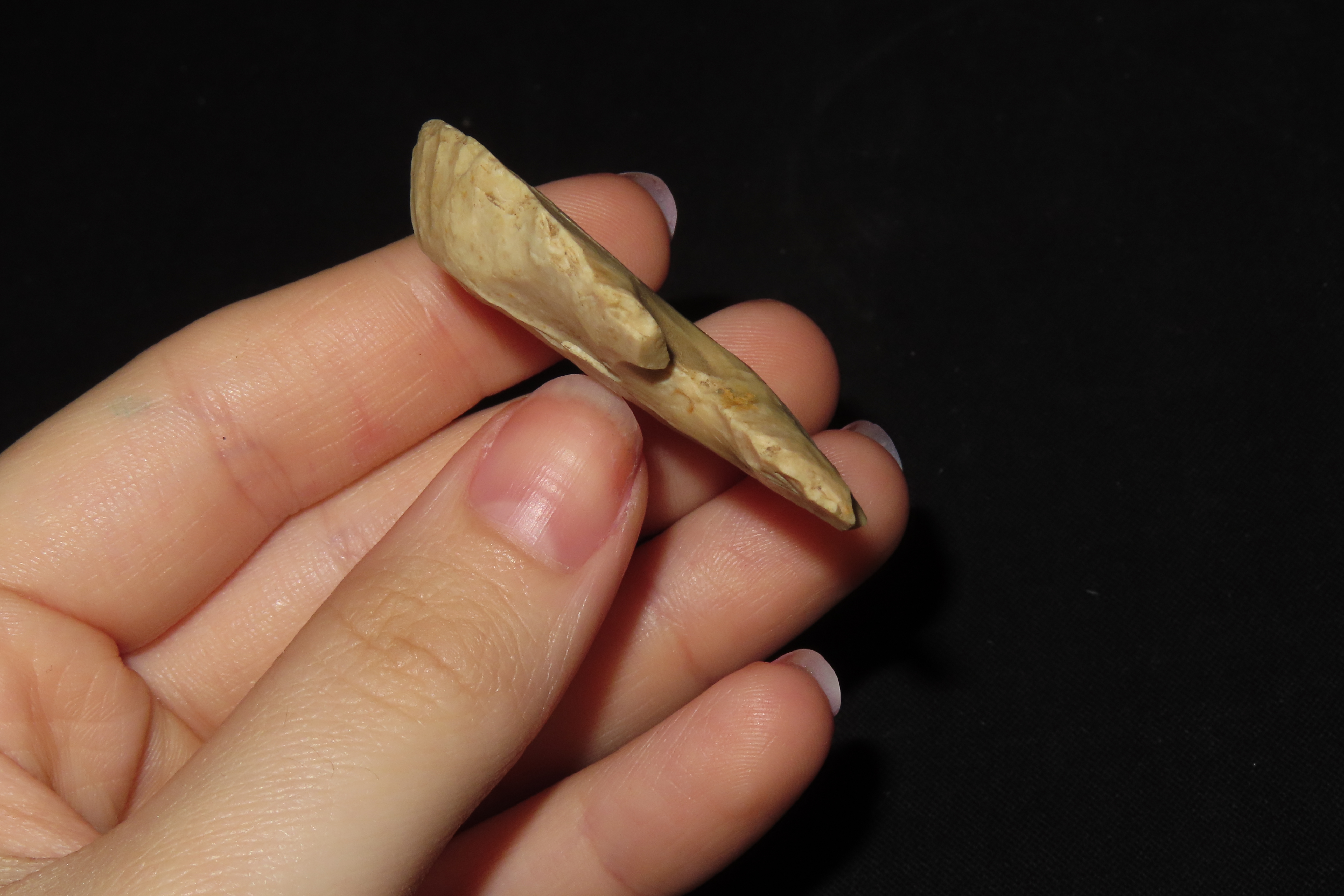 1 3/4" Thebes Blunt, Found in Illinois
