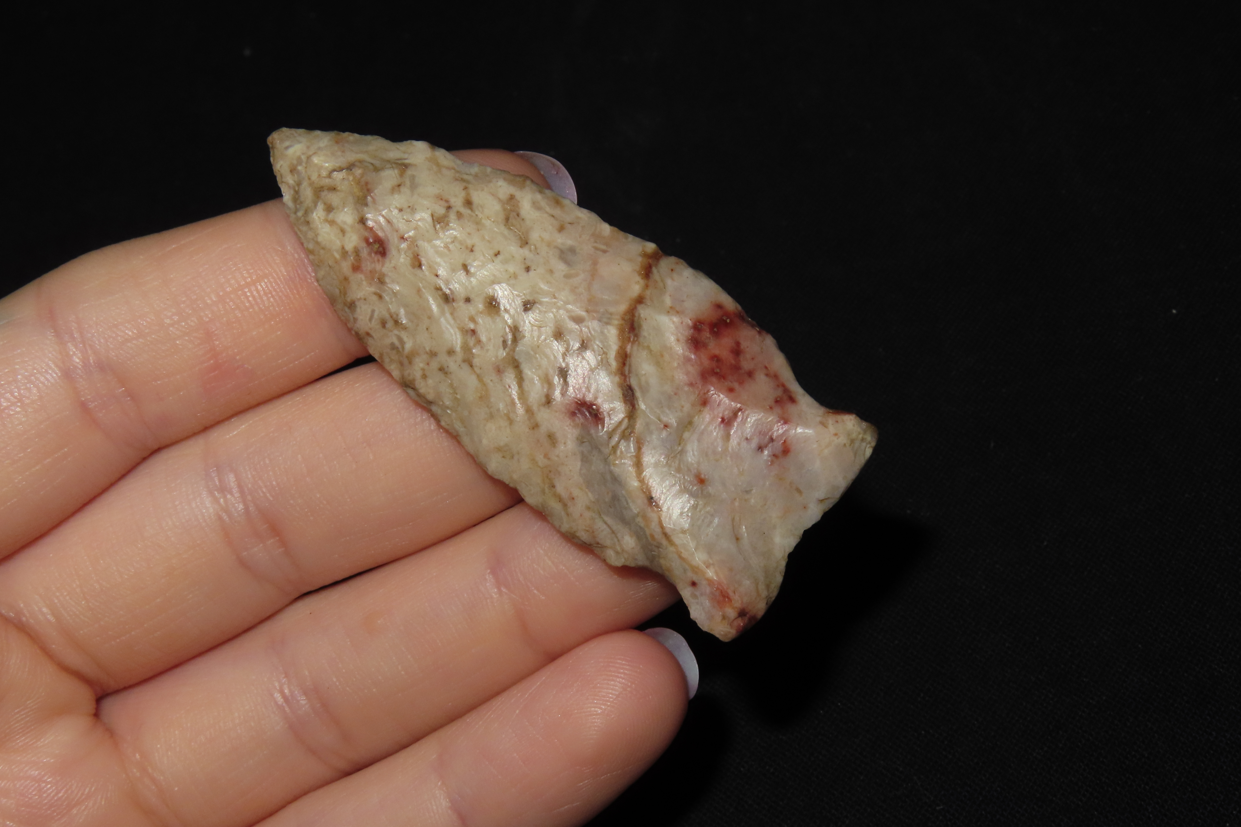 2 1/4" Matanzas Point, Found in Iowa