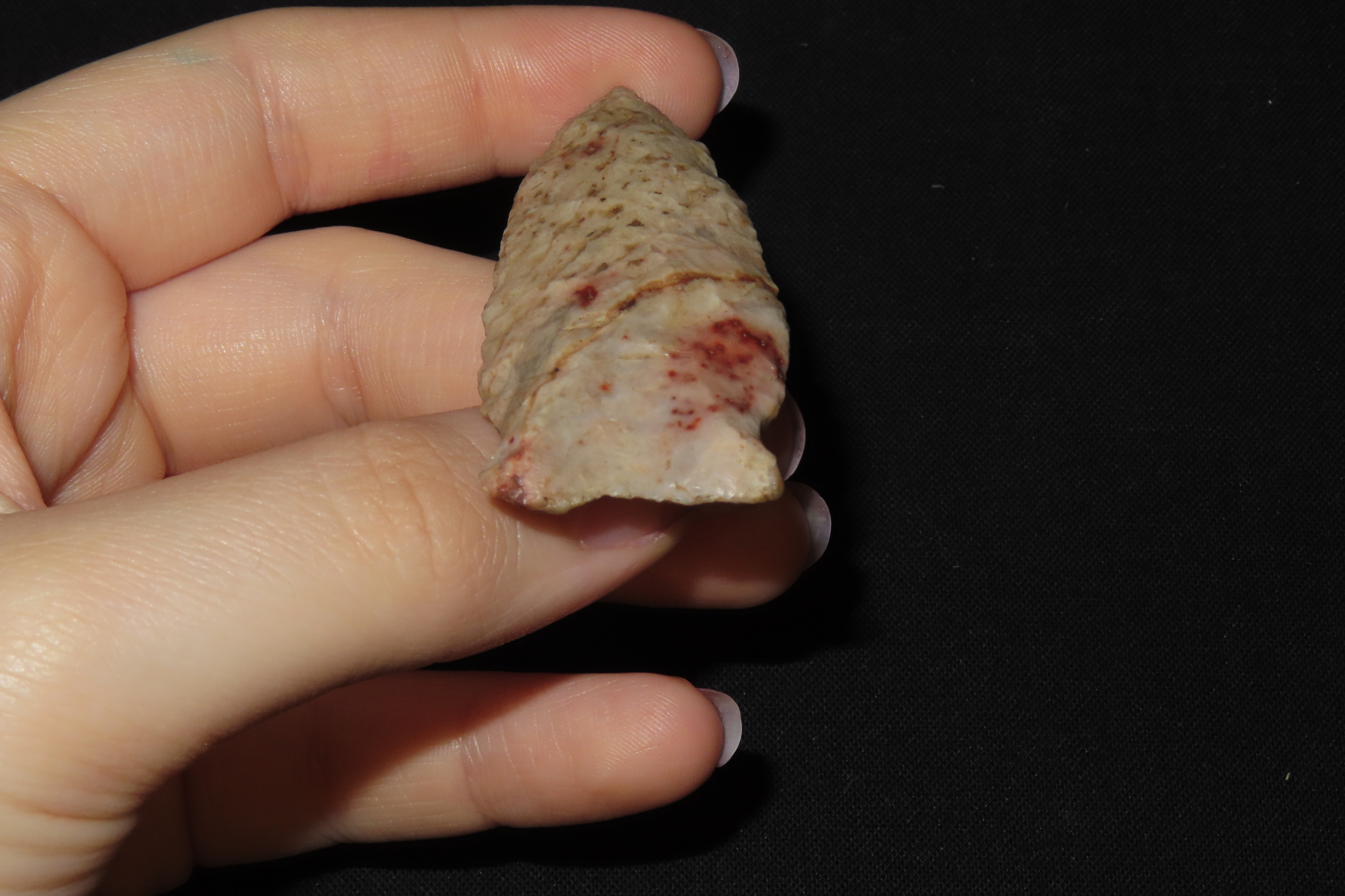 2 1/4" Matanzas Point, Found in Iowa