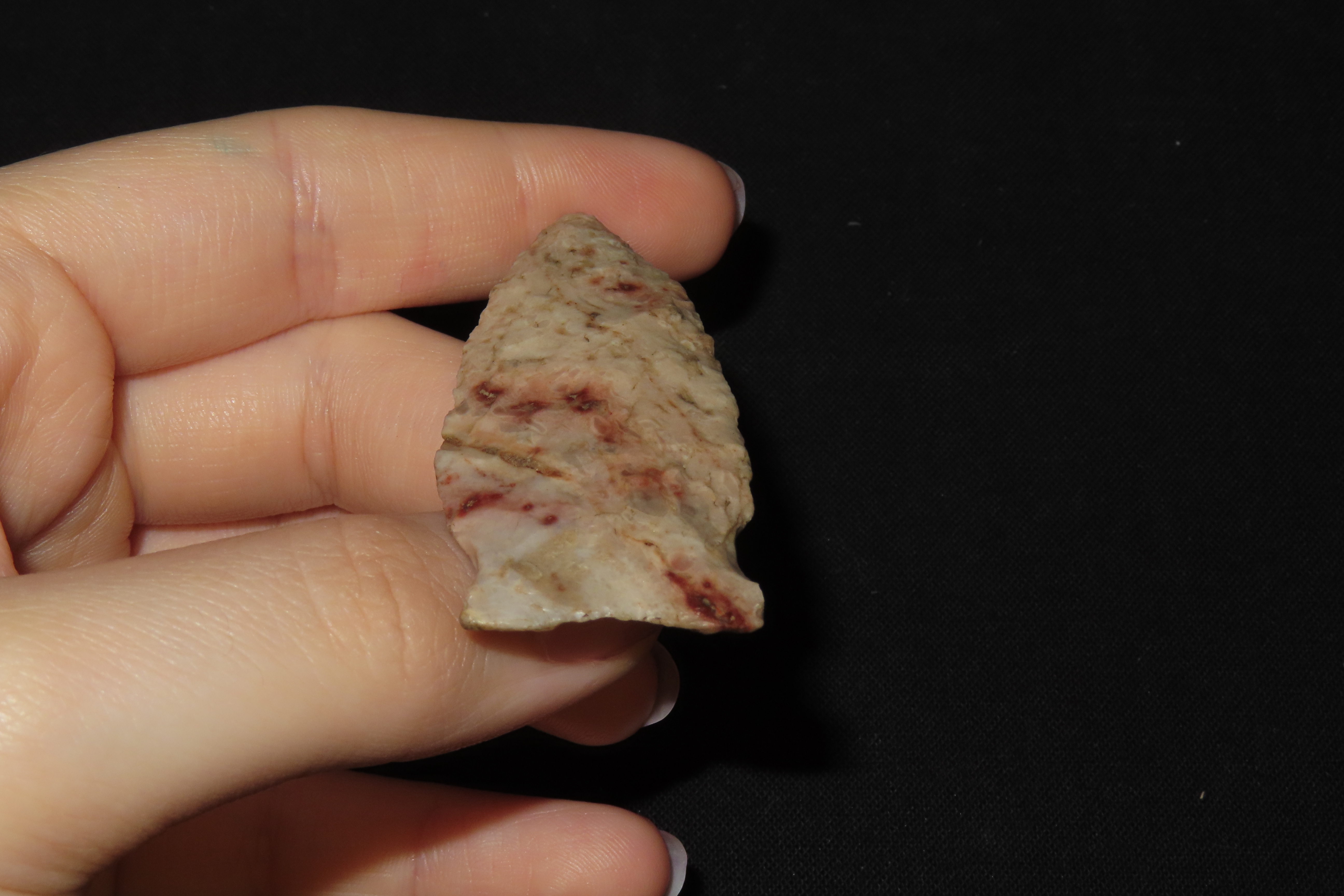 2 1/4" Matanzas Point, Found in Iowa