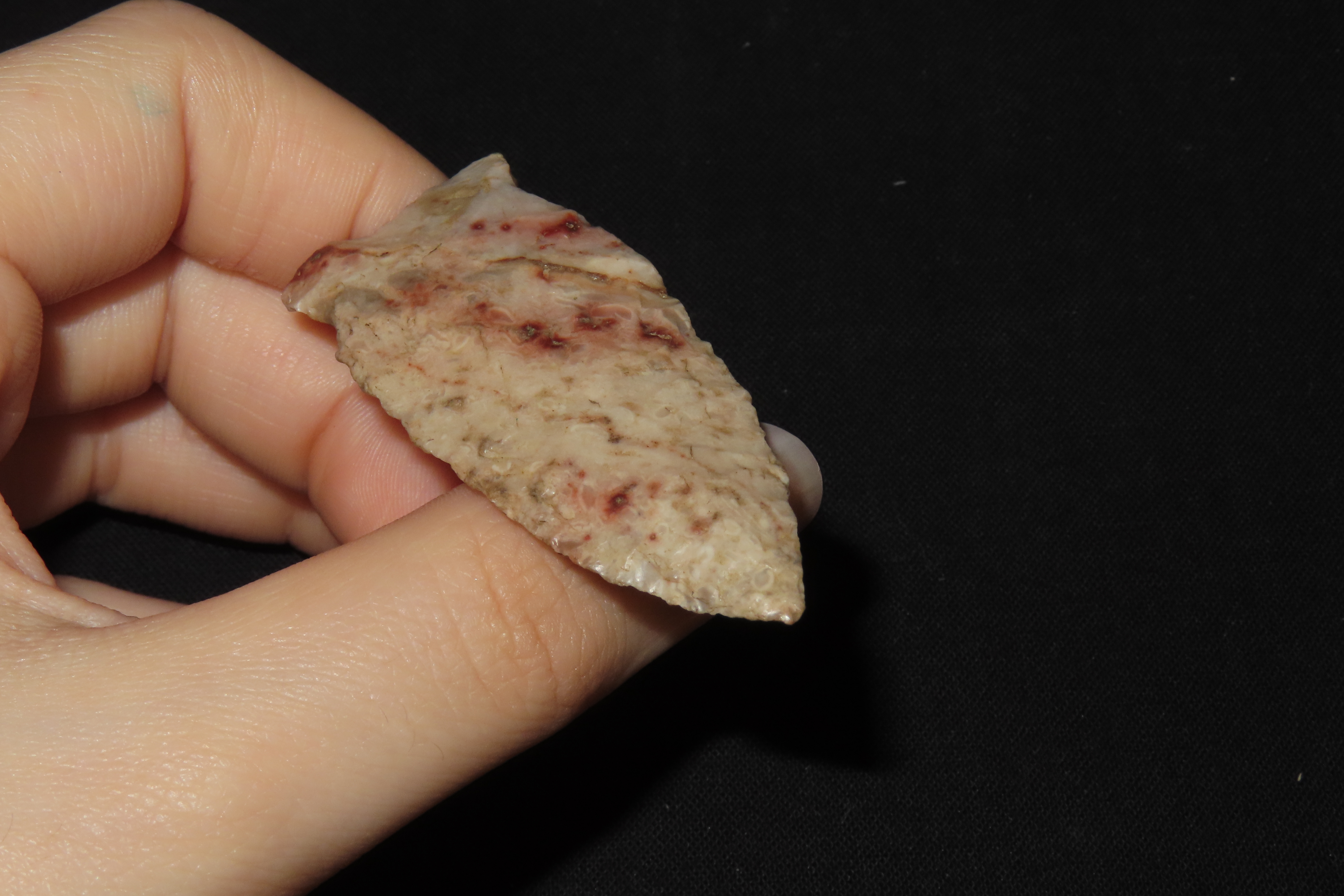 2 1/4" Matanzas Point, Found in Iowa
