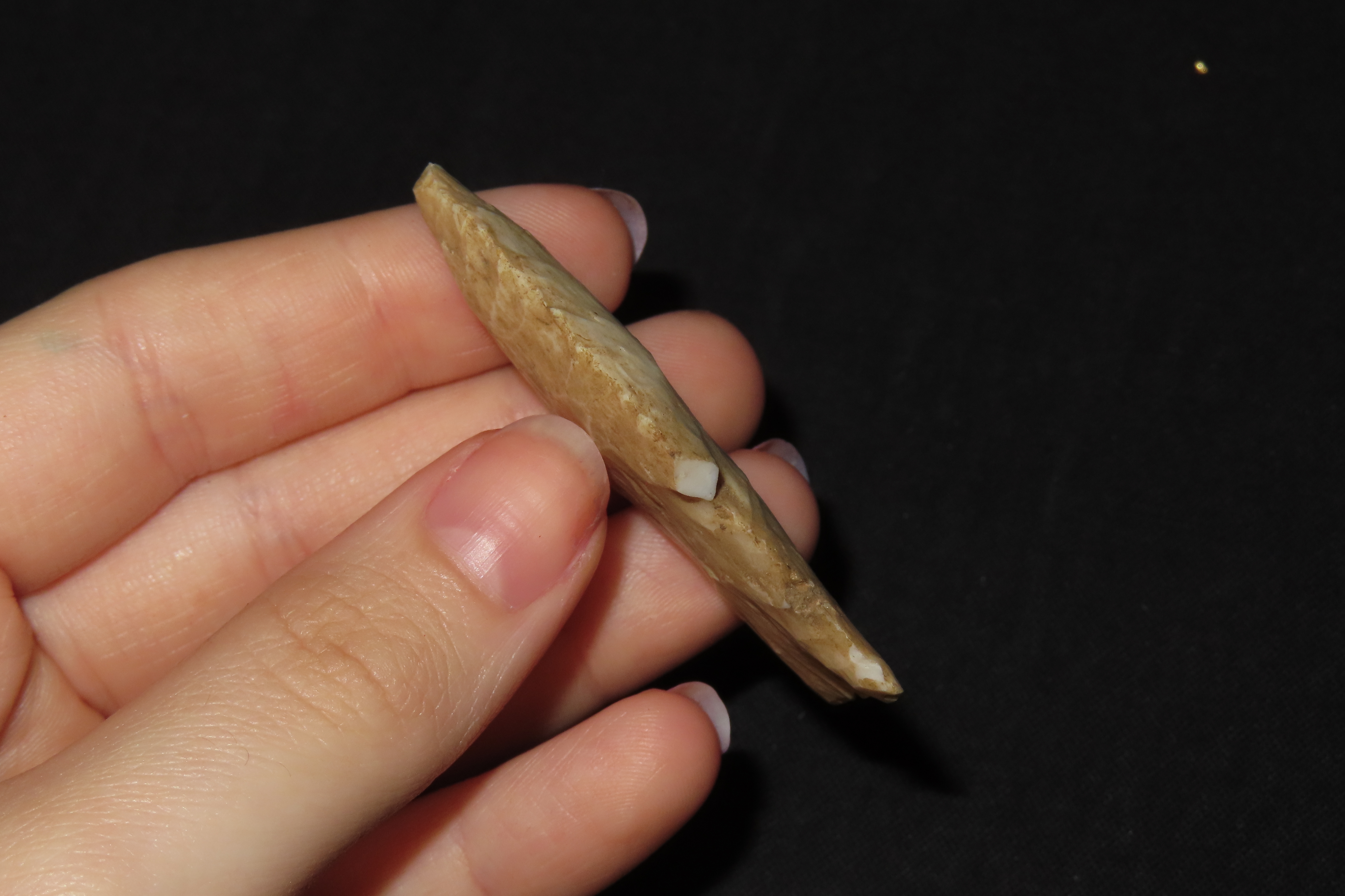 2 1/4" Hardin Point, Found in Illinois