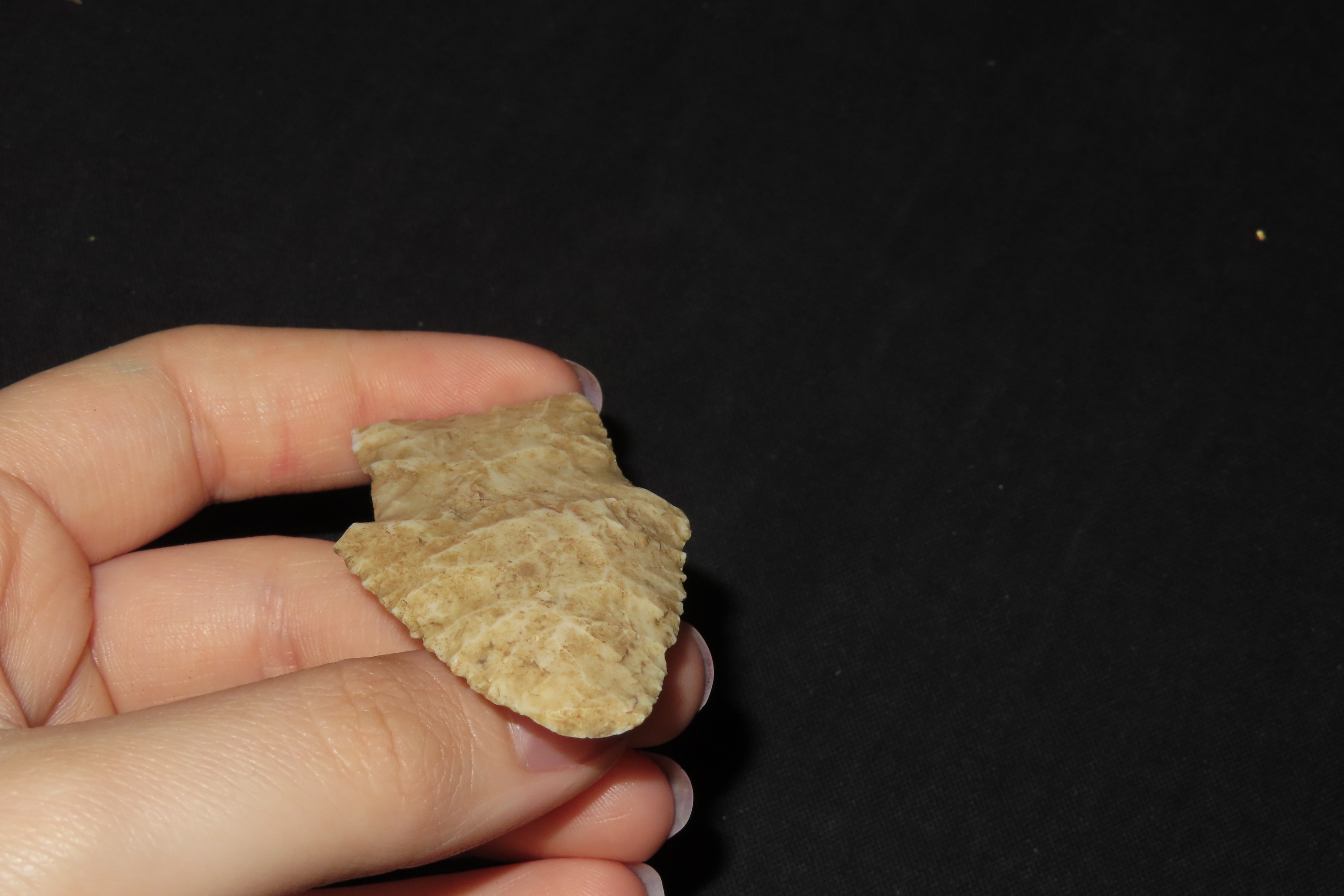 2 1/4" Hardin Point, Found in Illinois