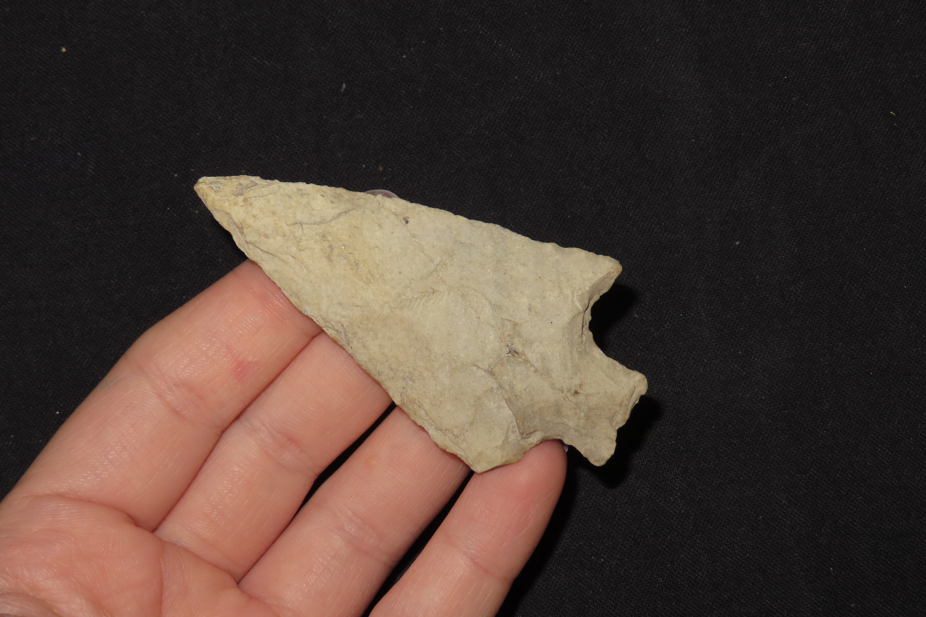 2 7/8" Archaic Point, Central Iowa