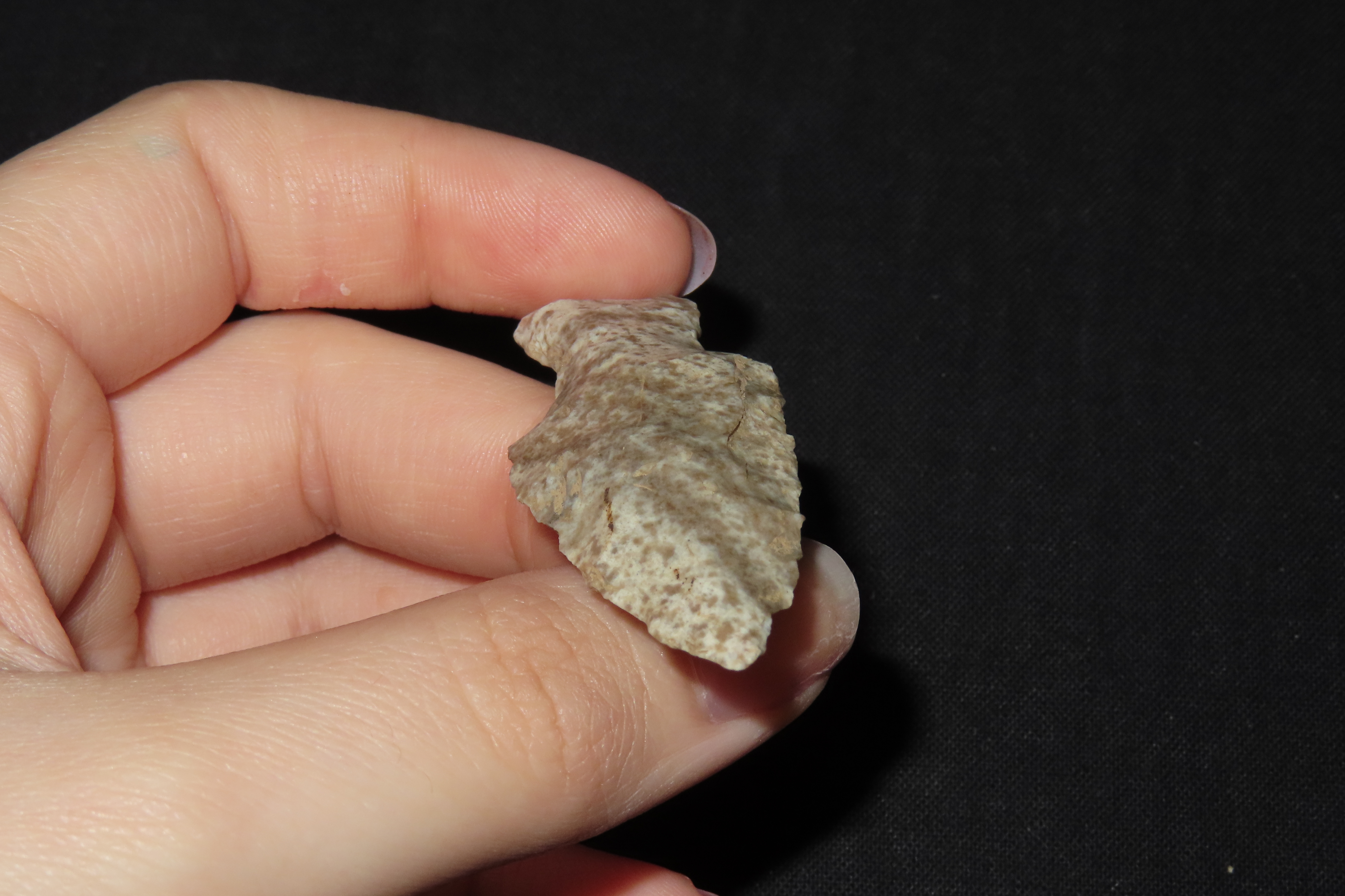2 1/8" Table Rock, Found in Iowa