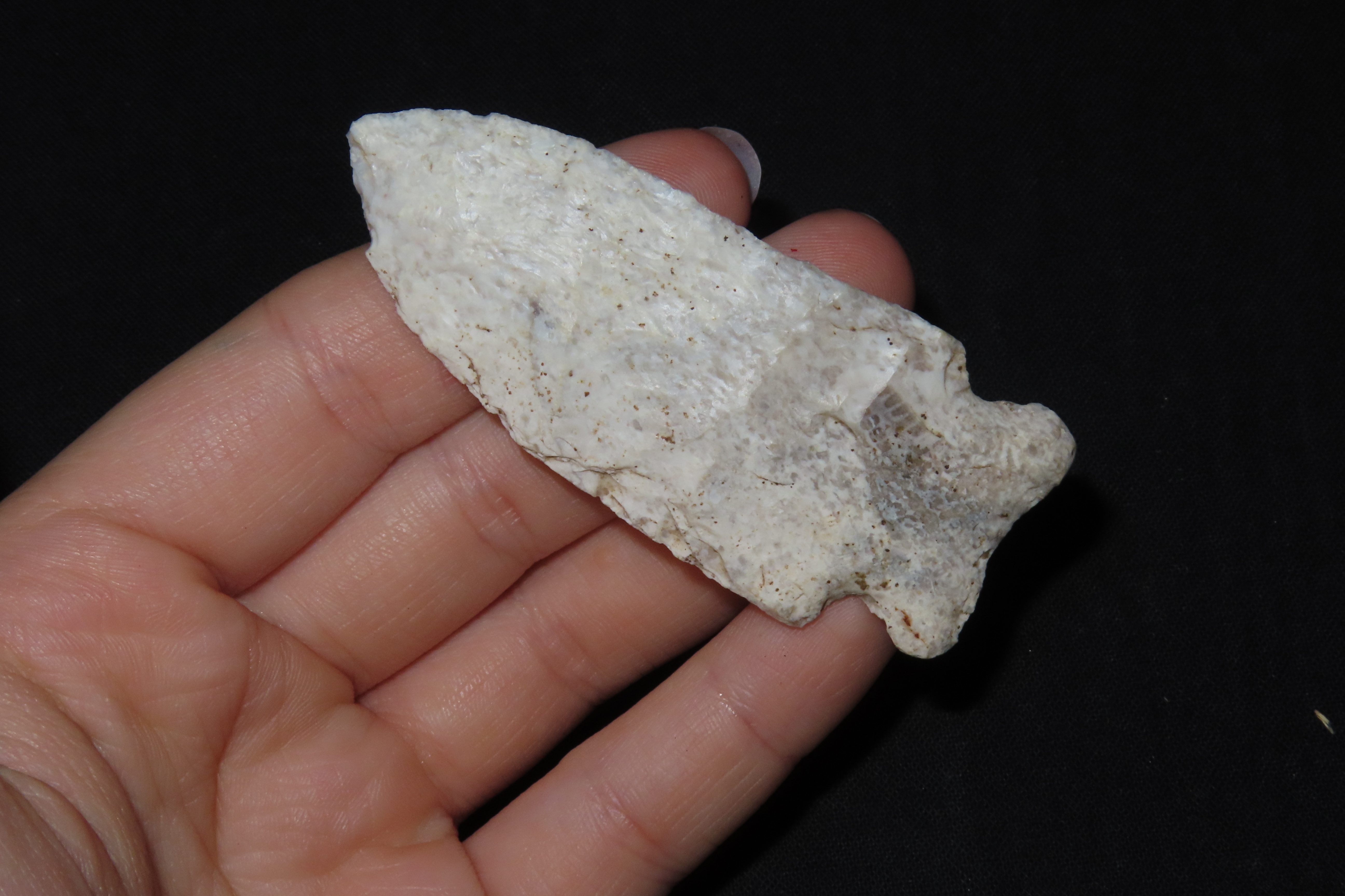 2 7/8" Matanzas Point, Found in Iowa
