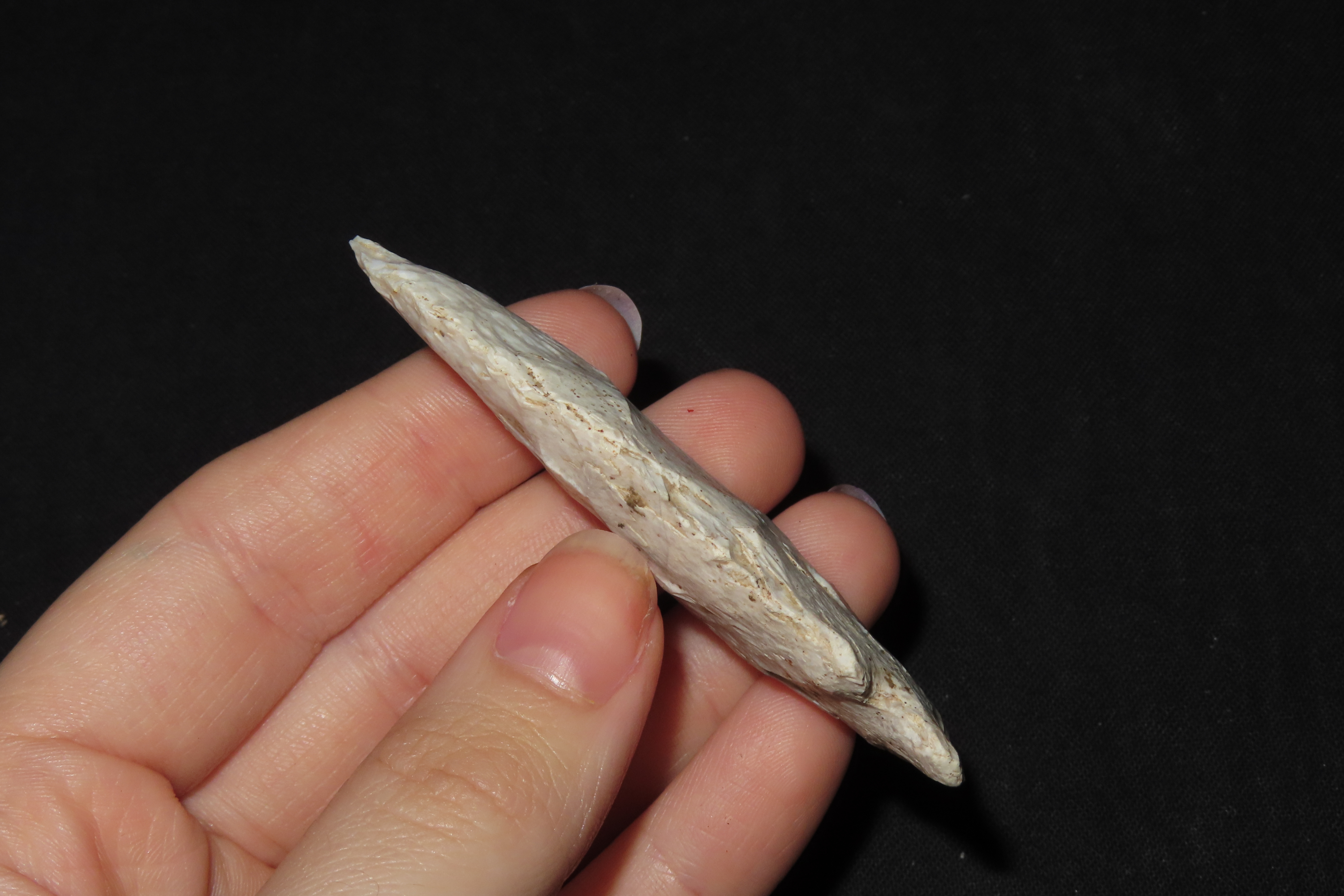 2 7/8" Matanzas Point, Found in Iowa