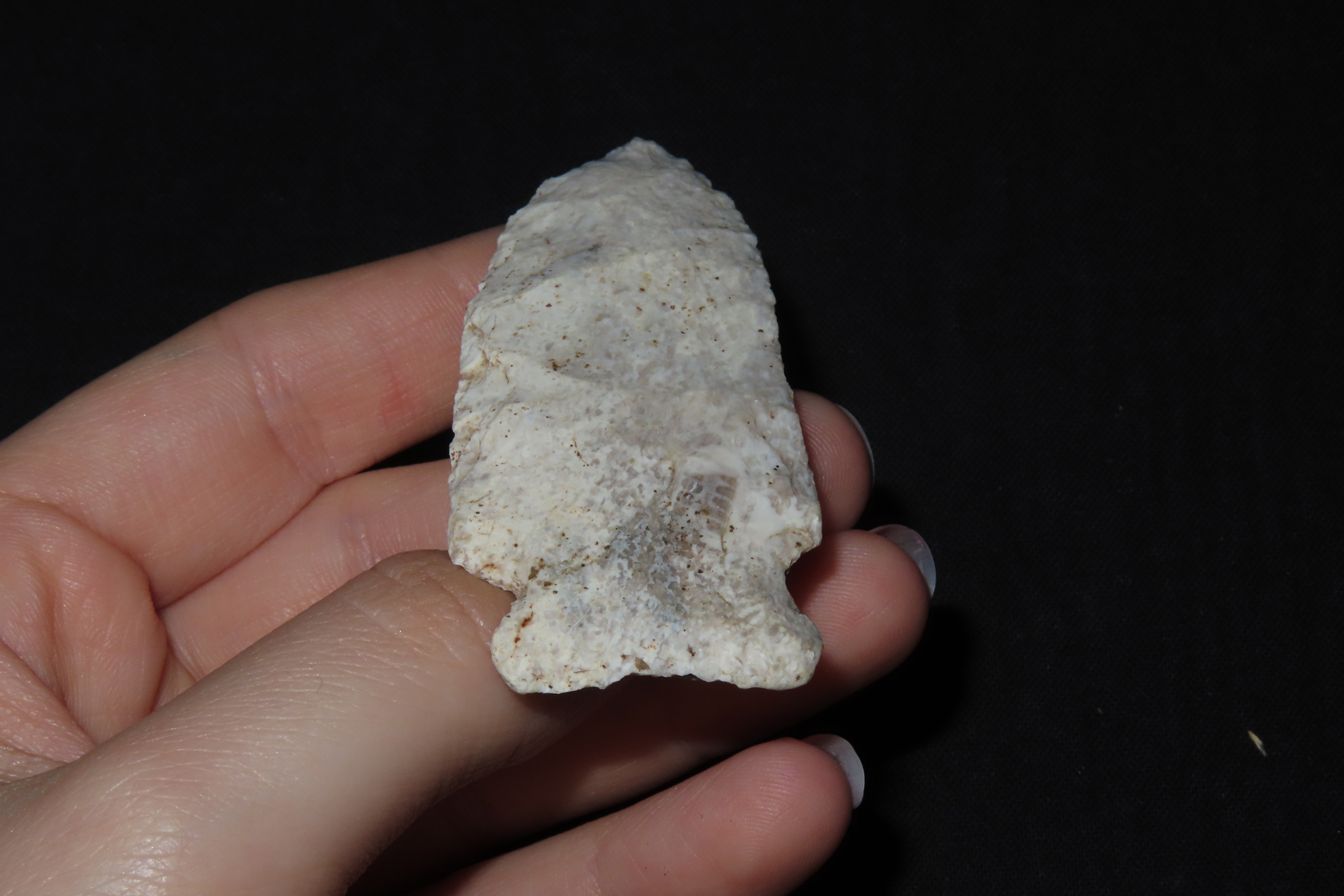 2 7/8" Matanzas Point, Found in Iowa