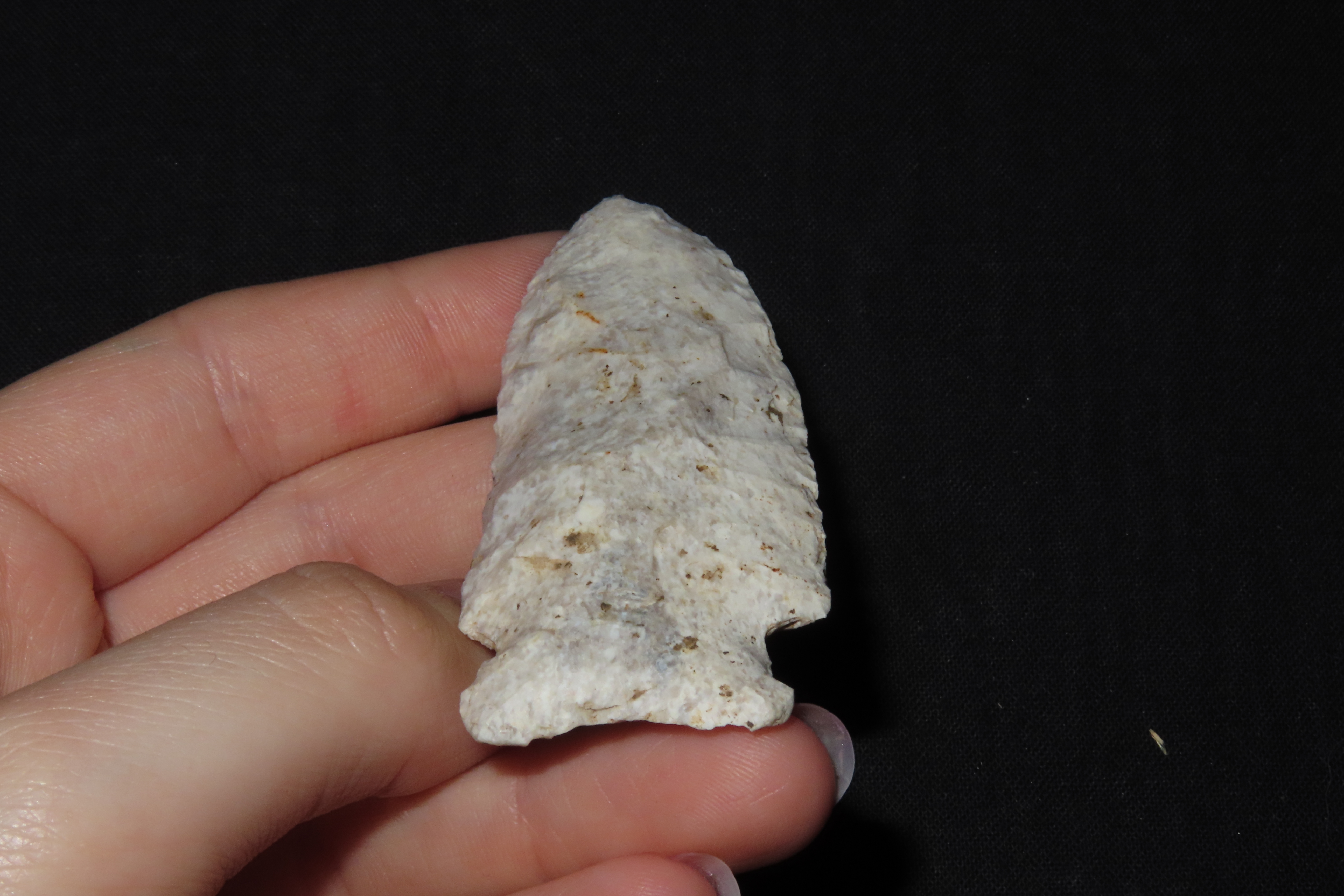 2 7/8" Matanzas Point, Found in Iowa
