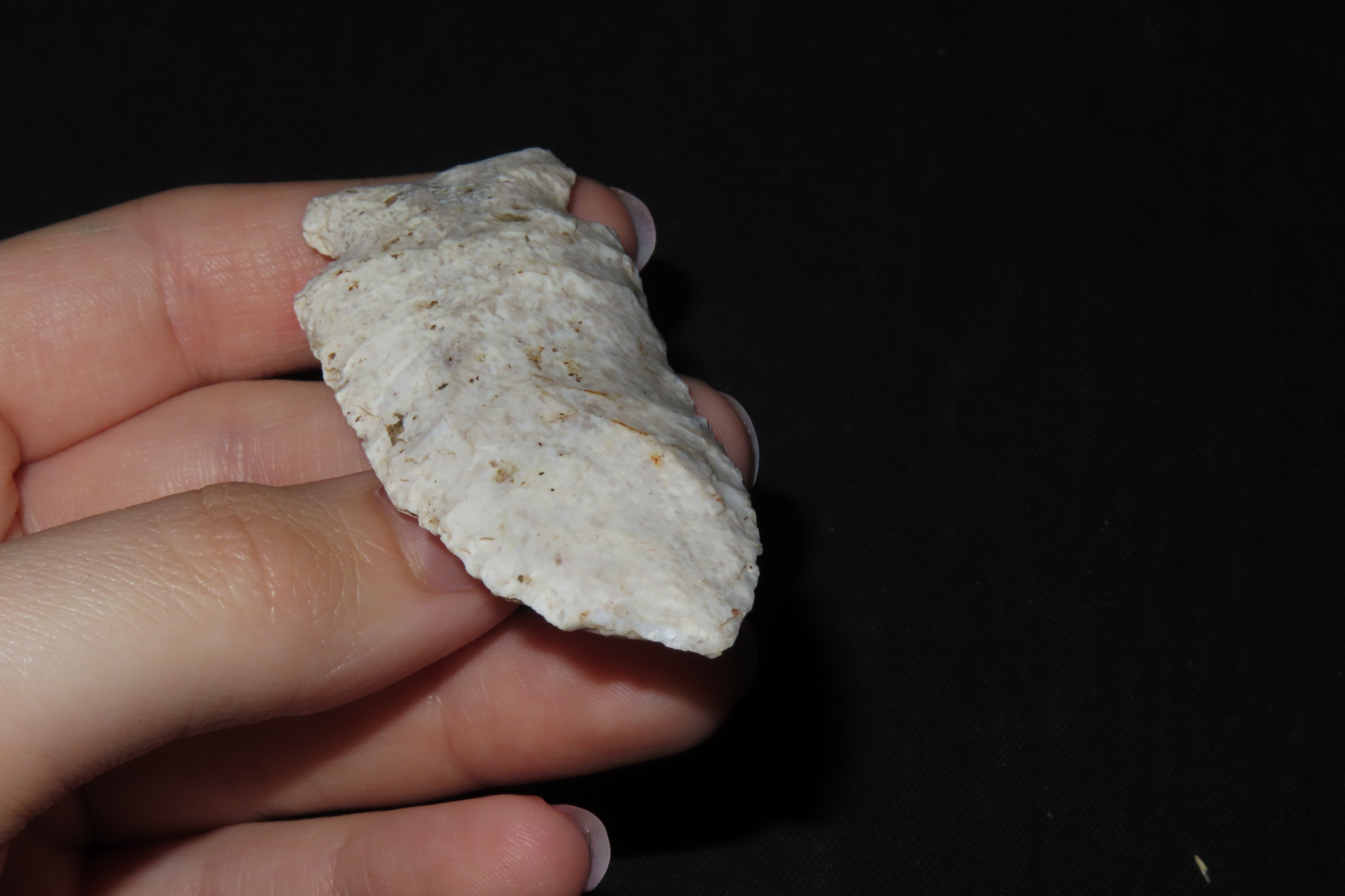 2 7/8" Matanzas Point, Found in Iowa
