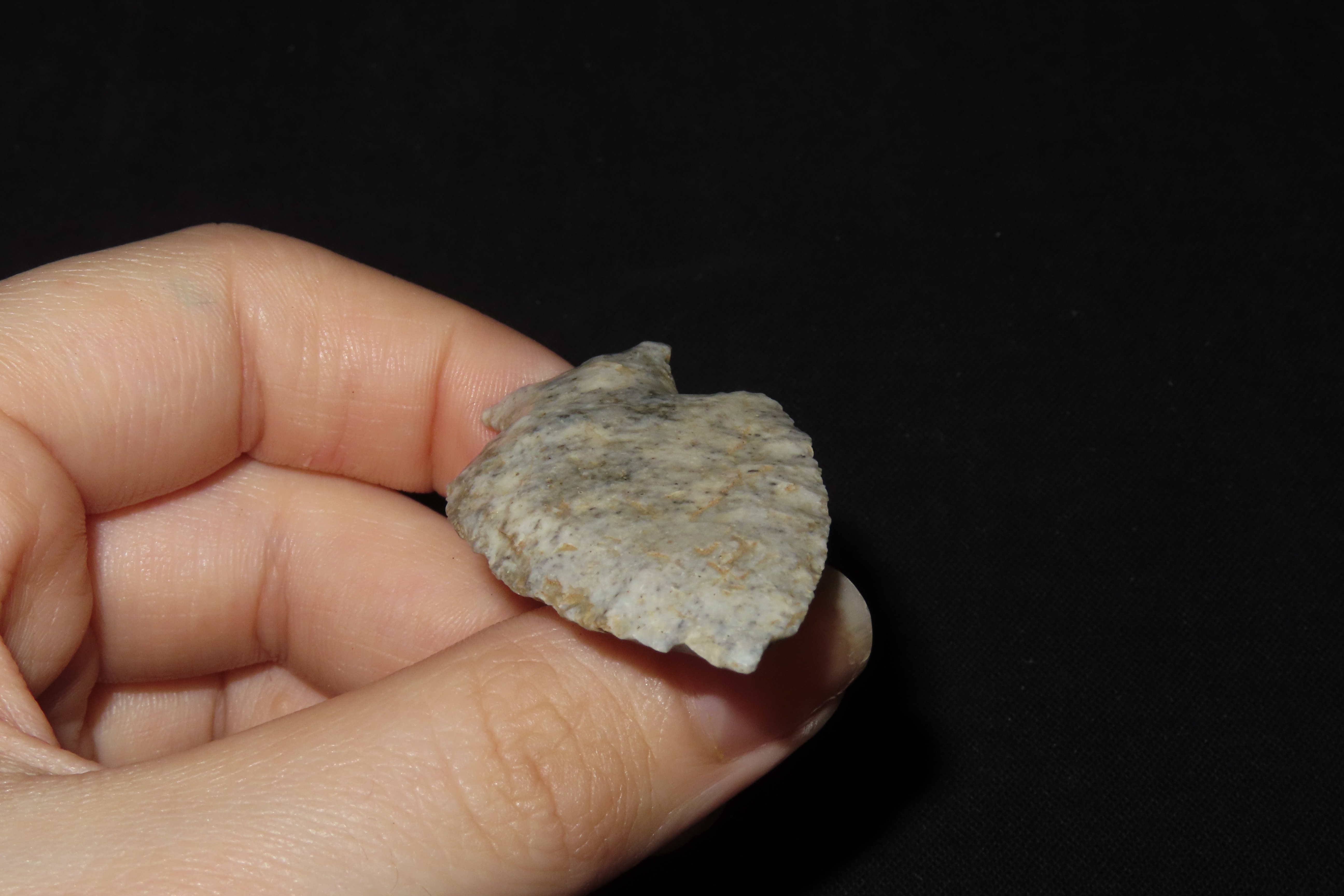 2" Table Rock, Scott Co., Illinois