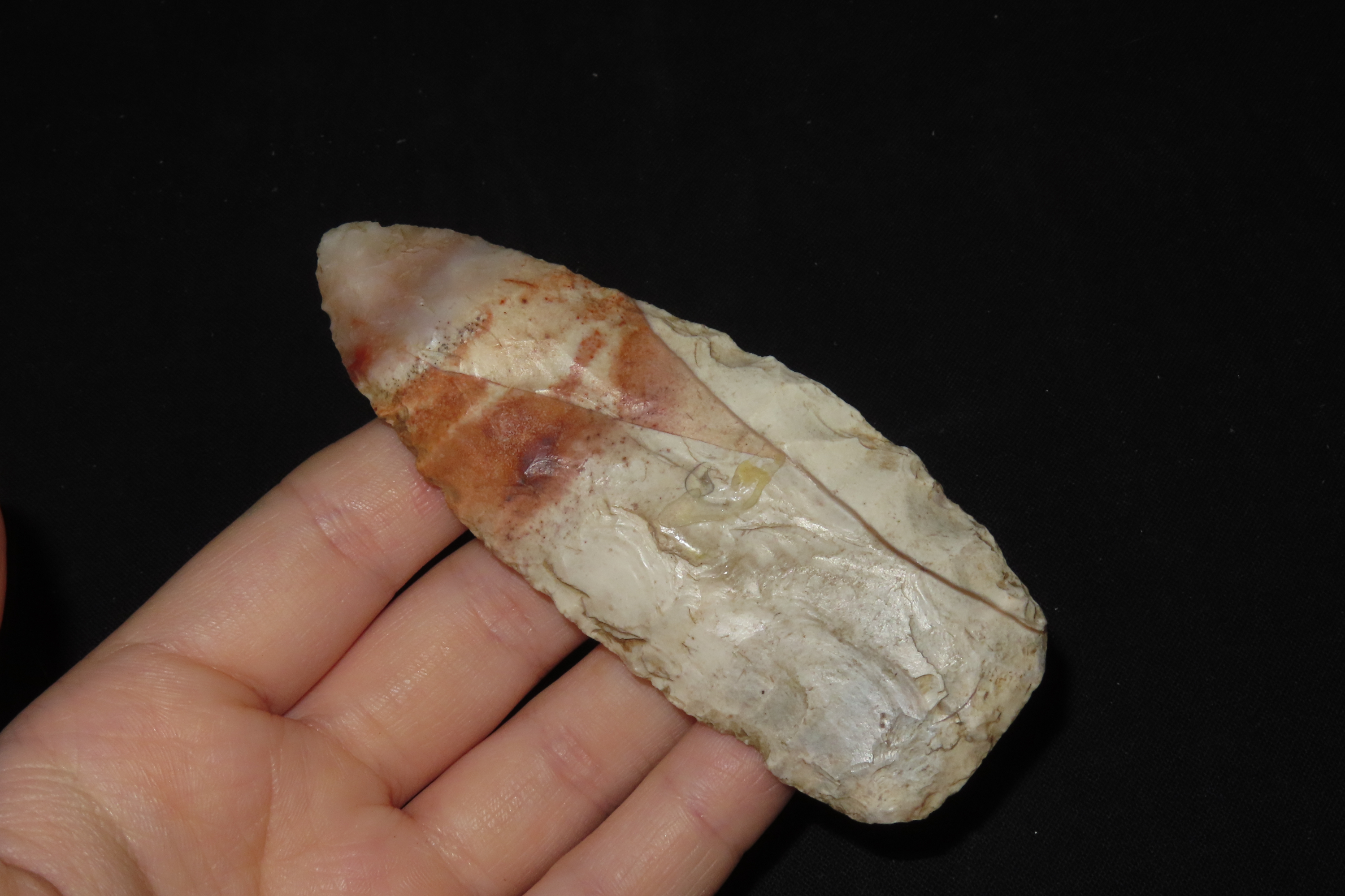 3 7/8" Adena Blade, Lee Co., Iowa