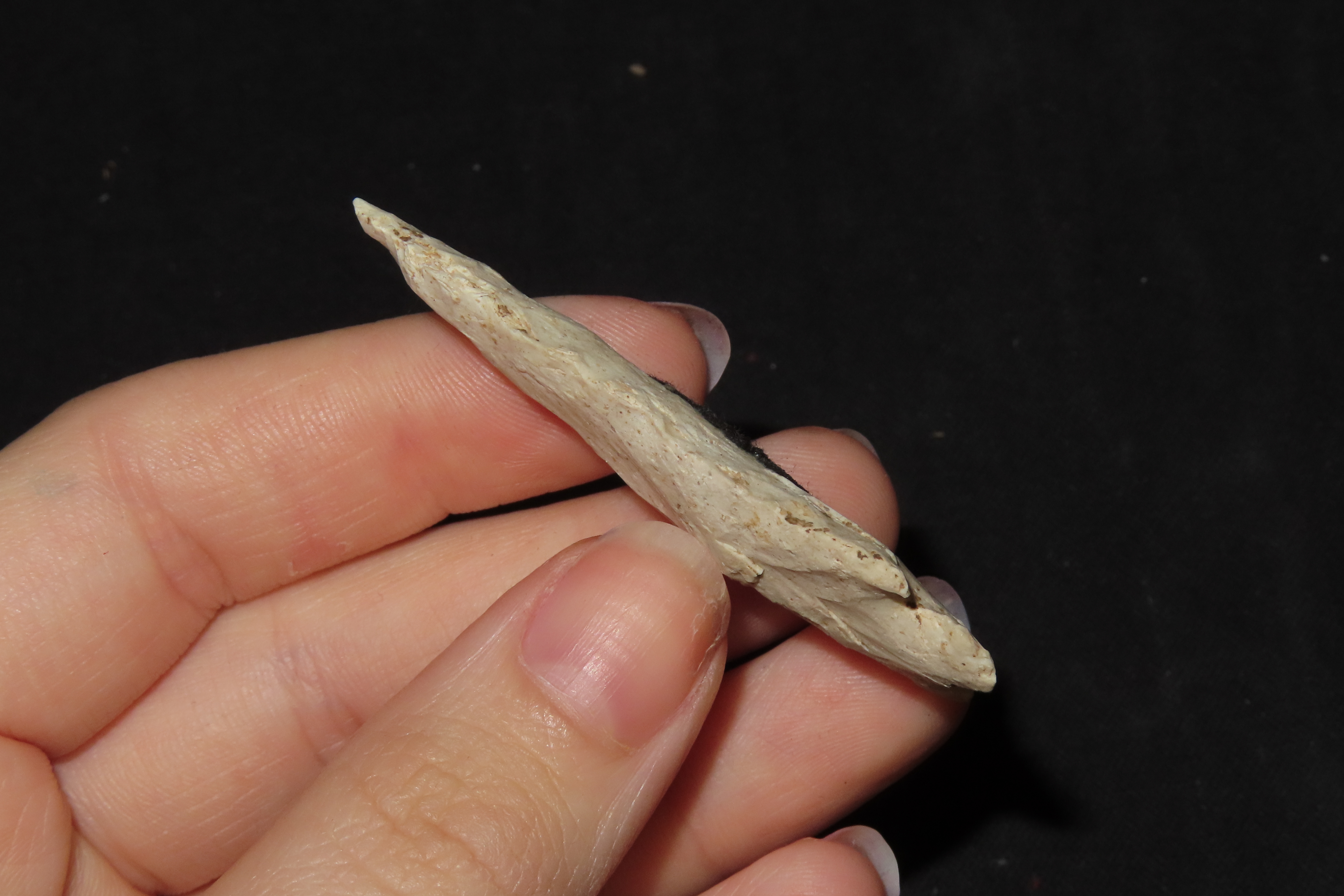 2 1/8" Archaic Point, Found in Missouri