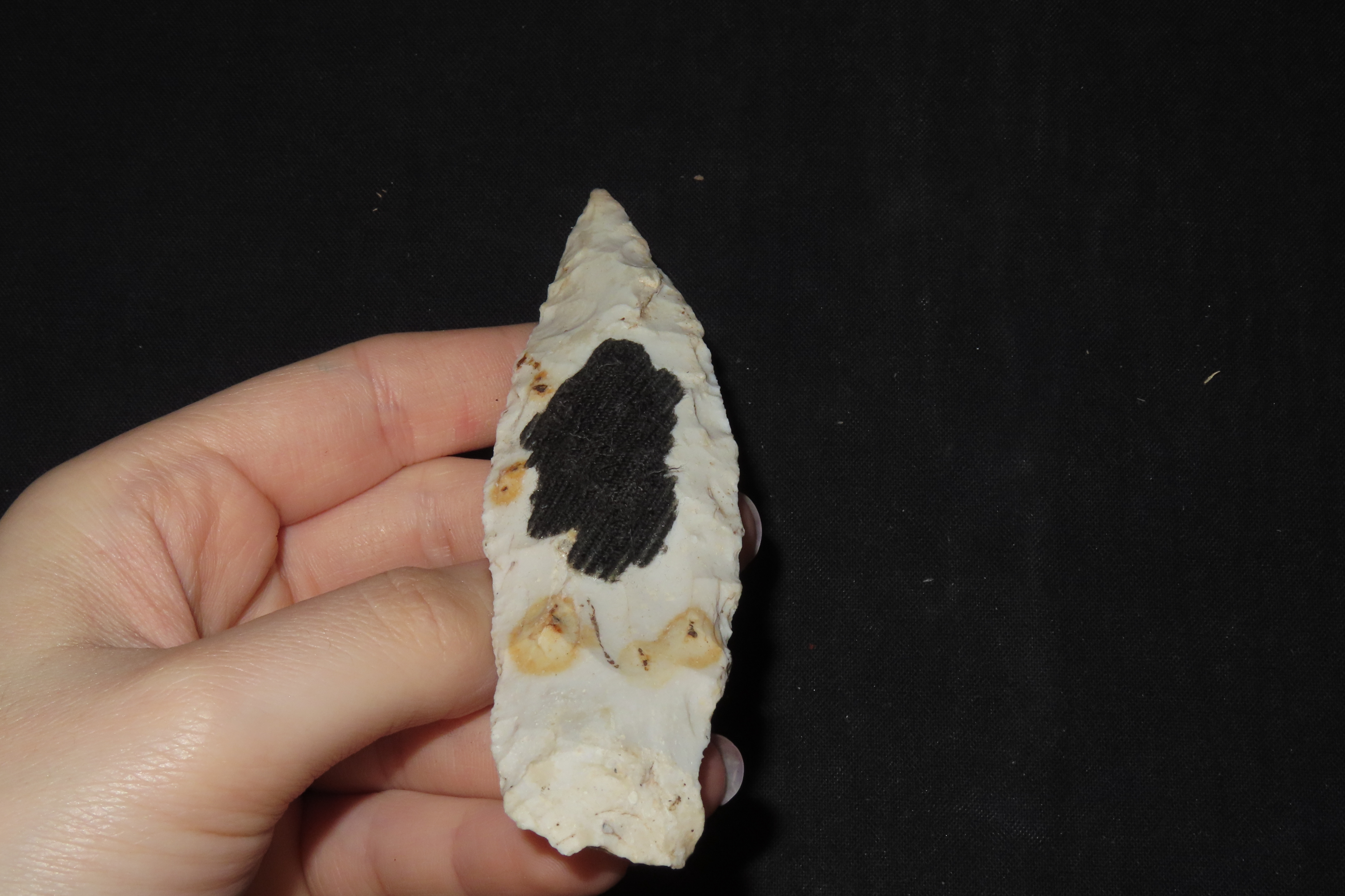 4 1/2" Nebo Hill, Pike Co., Illinois