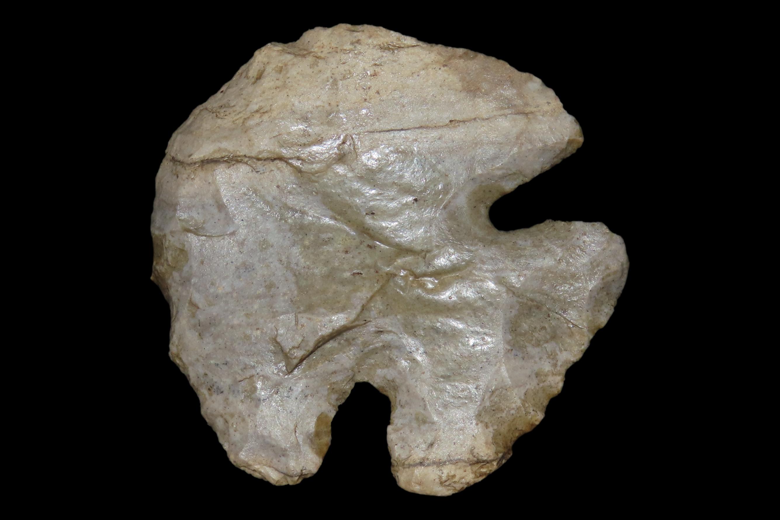 2 1/4" Thebes Blunt, Jersey Co., Illinois