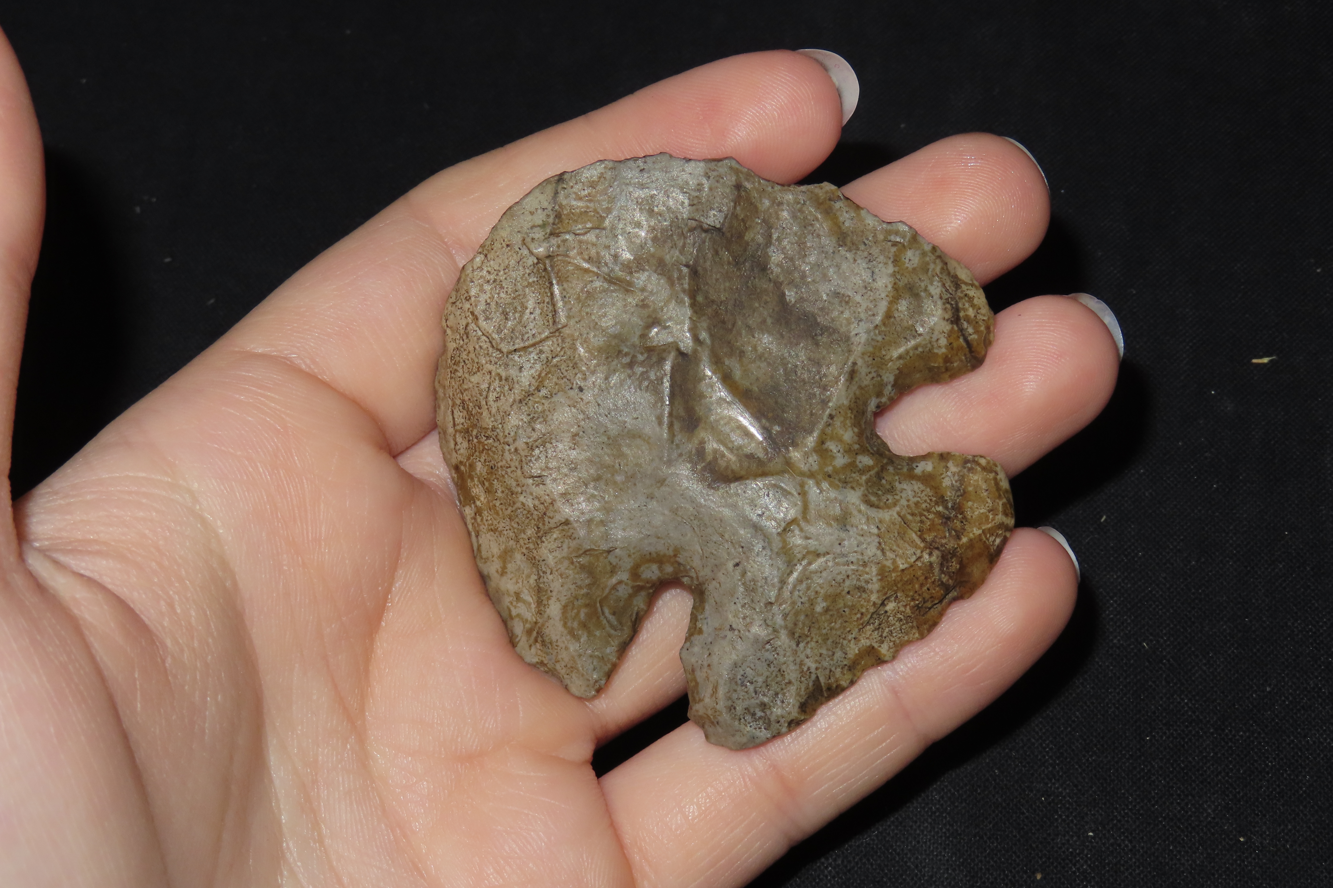 2 1/4" Thebes Blunt, Jersey Co., Illinois