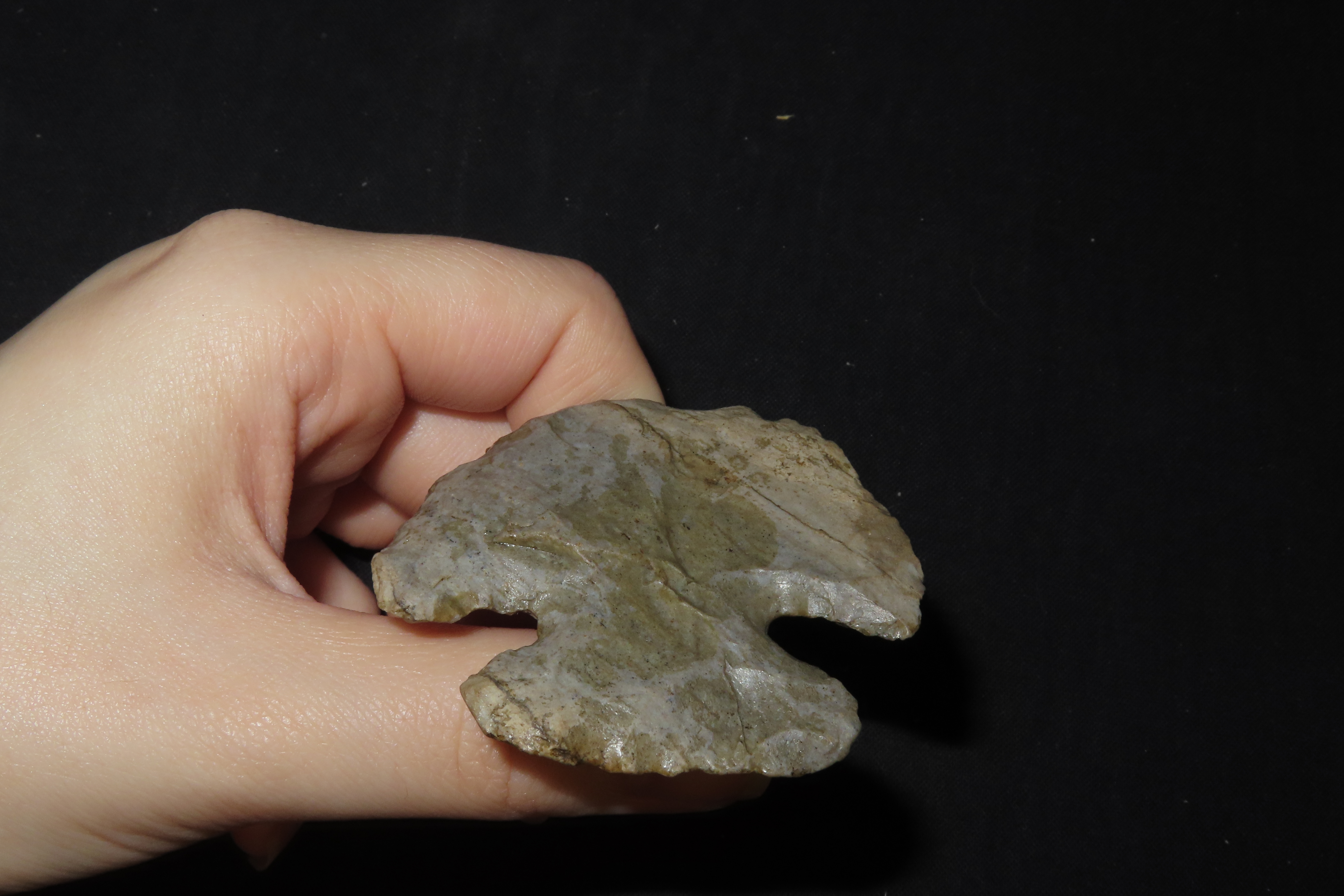 2 1/4" Thebes Blunt, Jersey Co., Illinois
