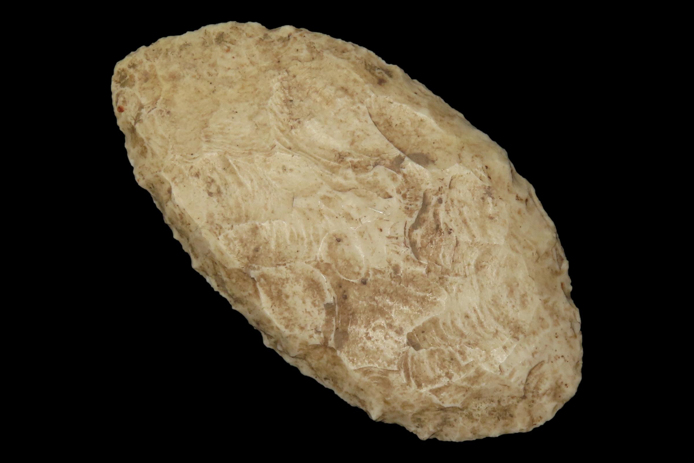 3 5/8" Paleo Blade, Jersey Co., Illinois