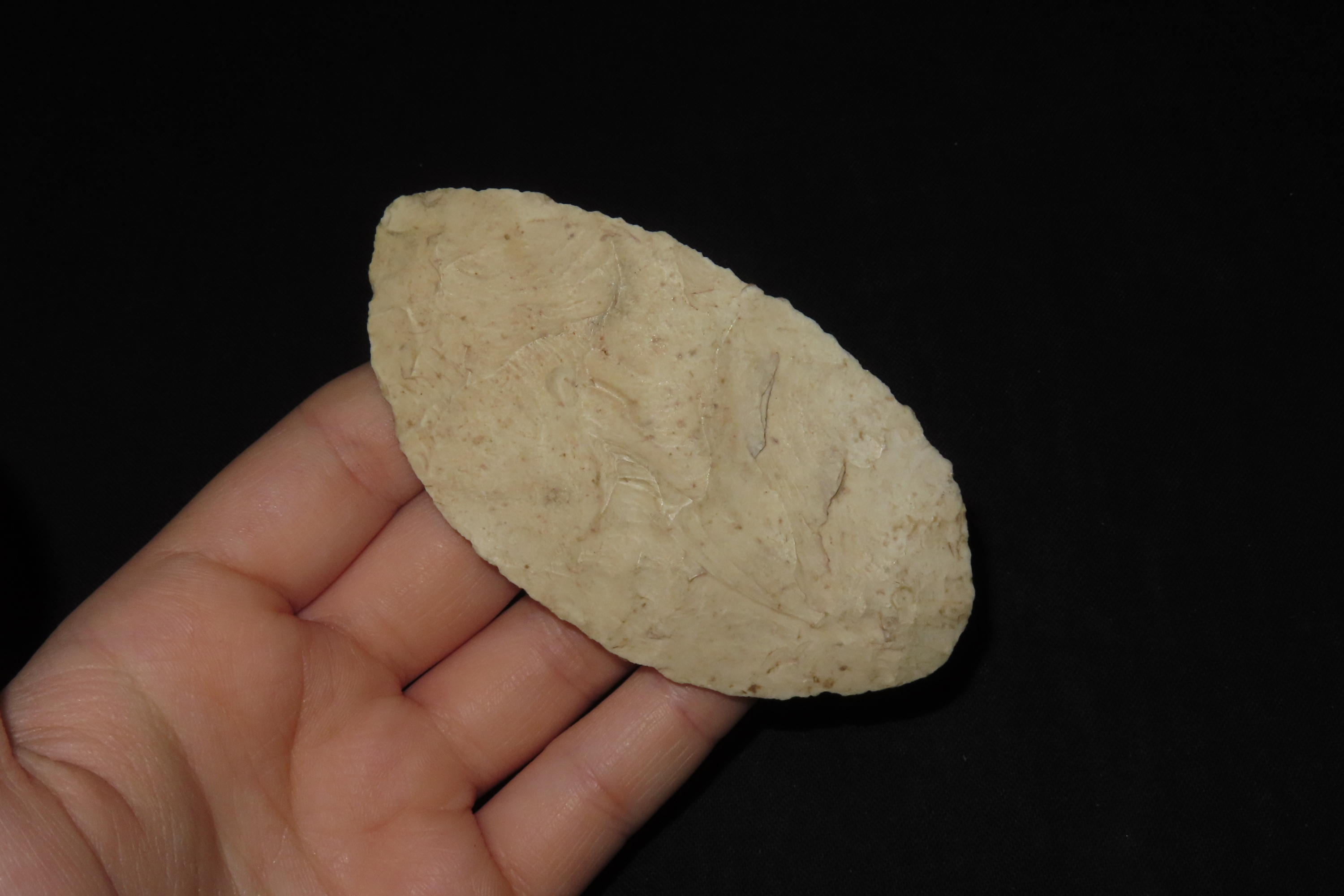 3 5/8" Paleo Blade, Jersey Co., Illinois