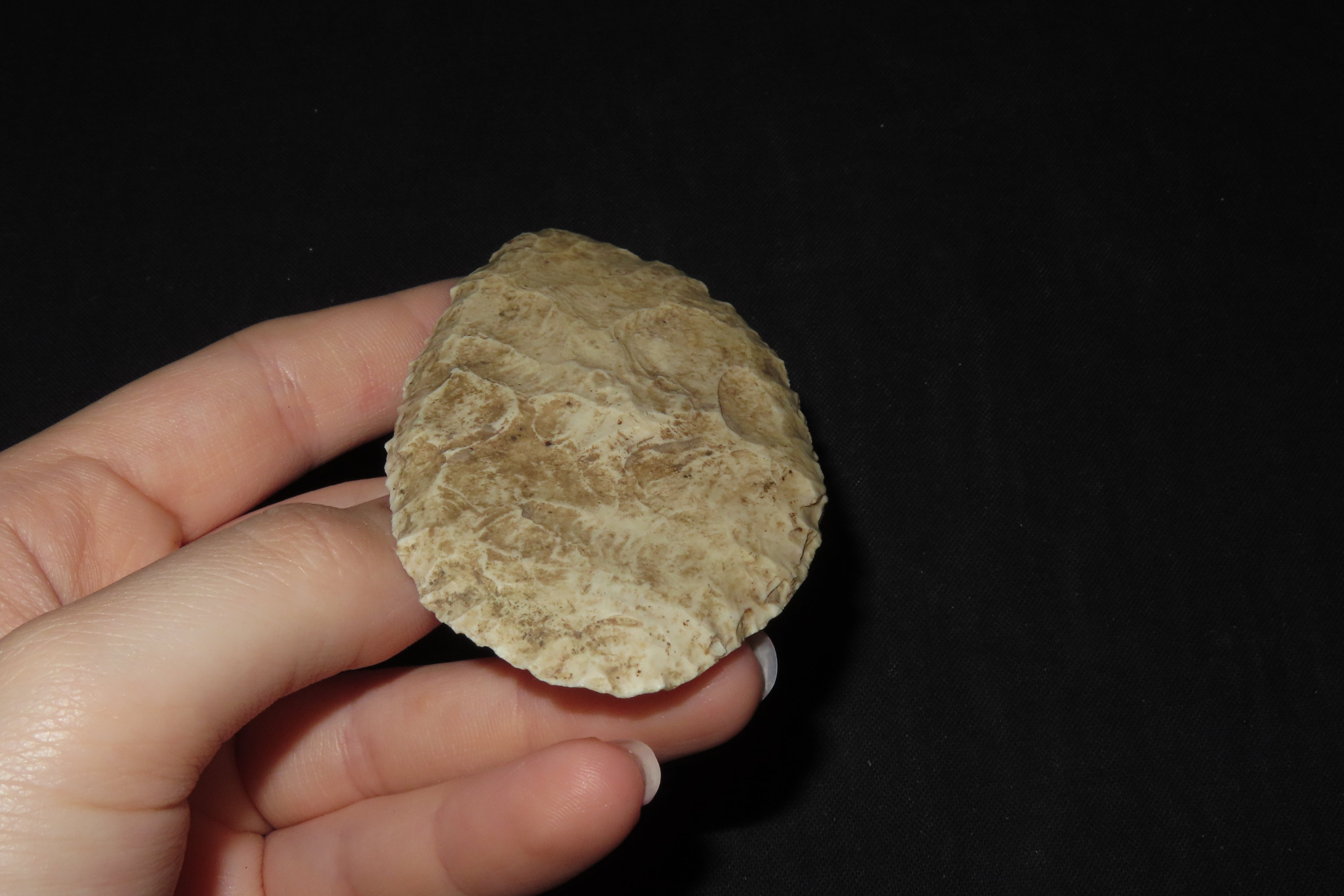 3 5/8" Paleo Blade, Jersey Co., Illinois