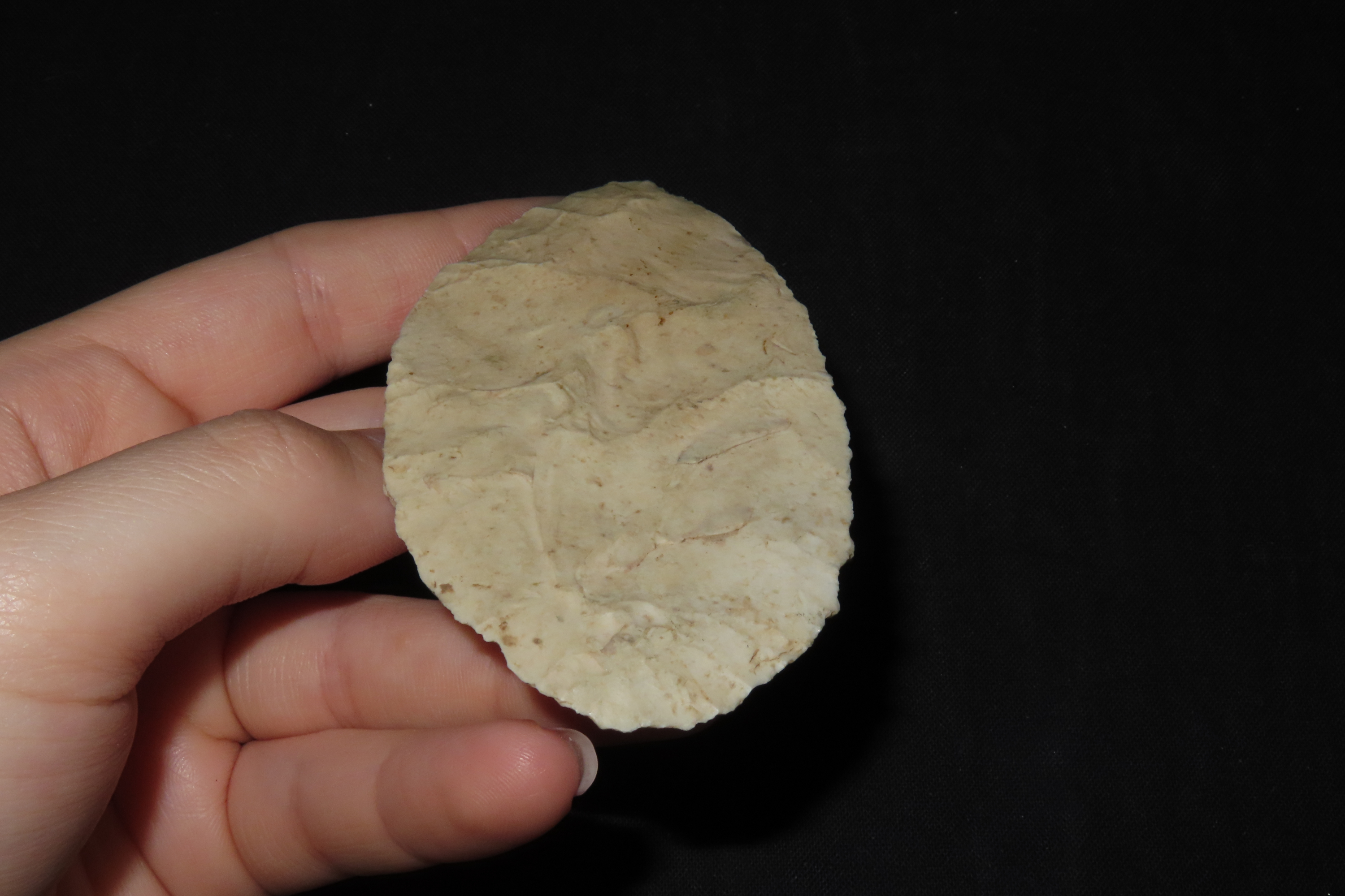 3 5/8" Paleo Blade, Jersey Co., Illinois