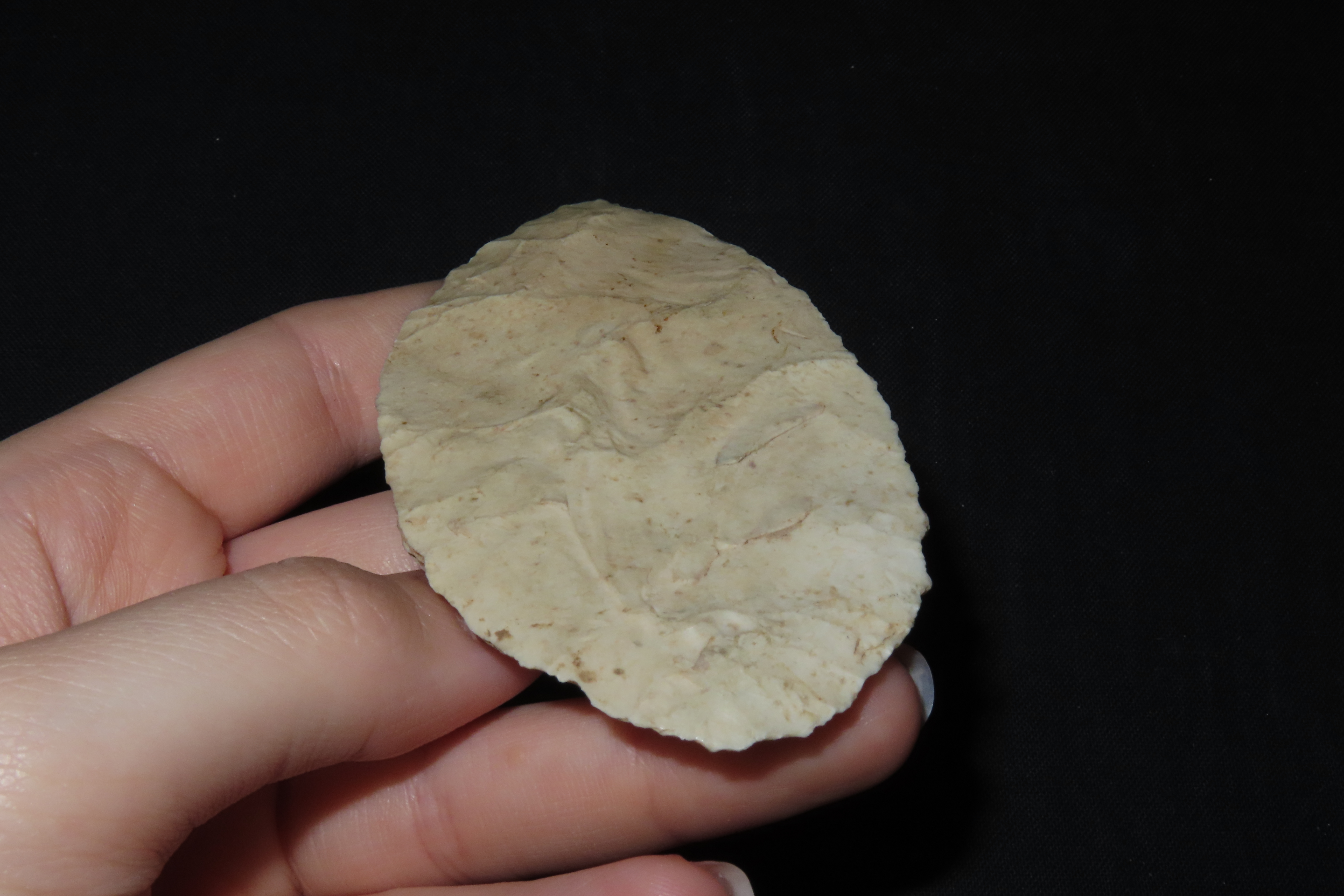 3 5/8" Paleo Blade, Jersey Co., Illinois